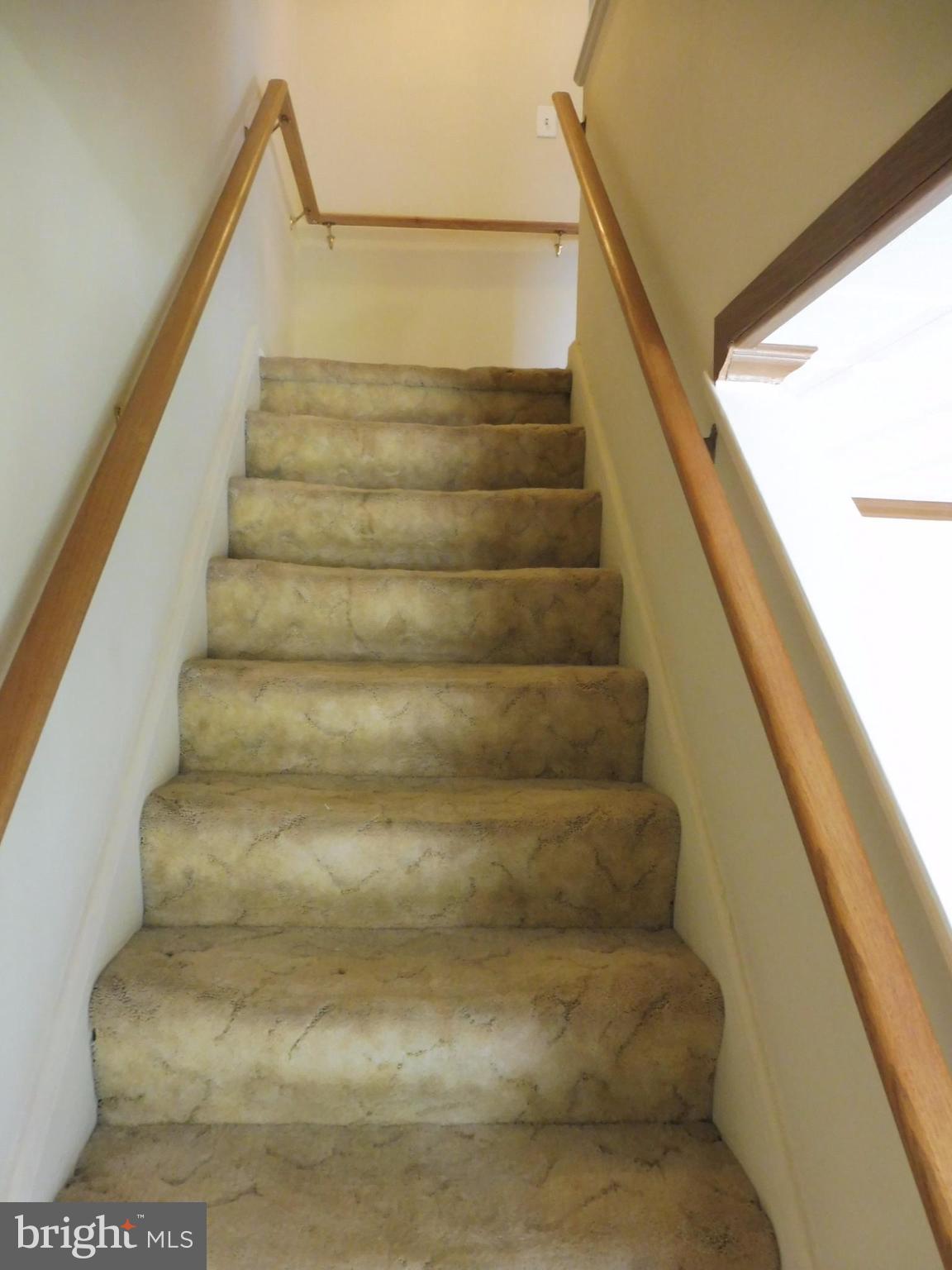 VIOLETVILLE - Residential