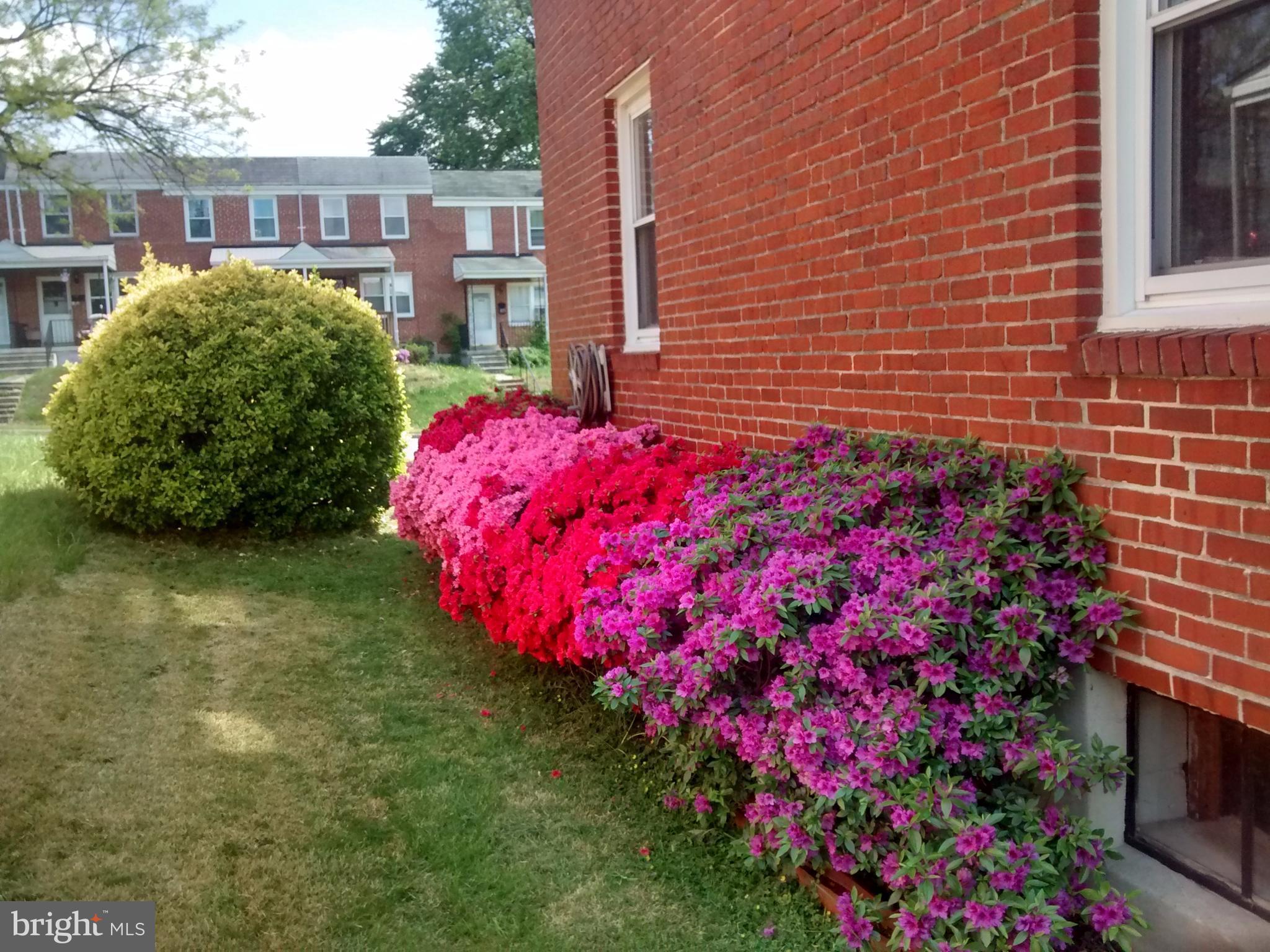 VIOLETVILLE - Residential