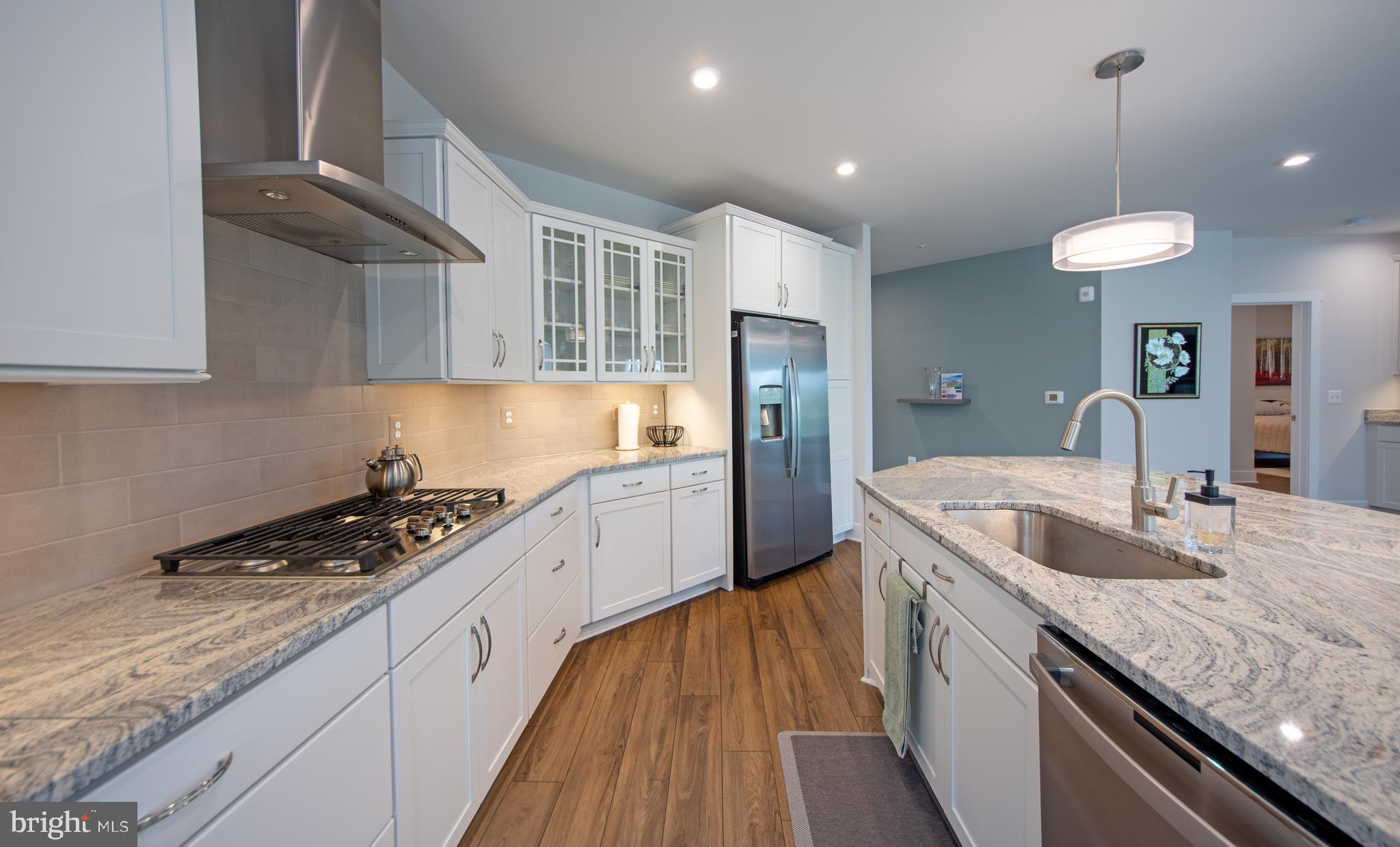 FOUR SEASONS AT KENT ISLAND - Residential