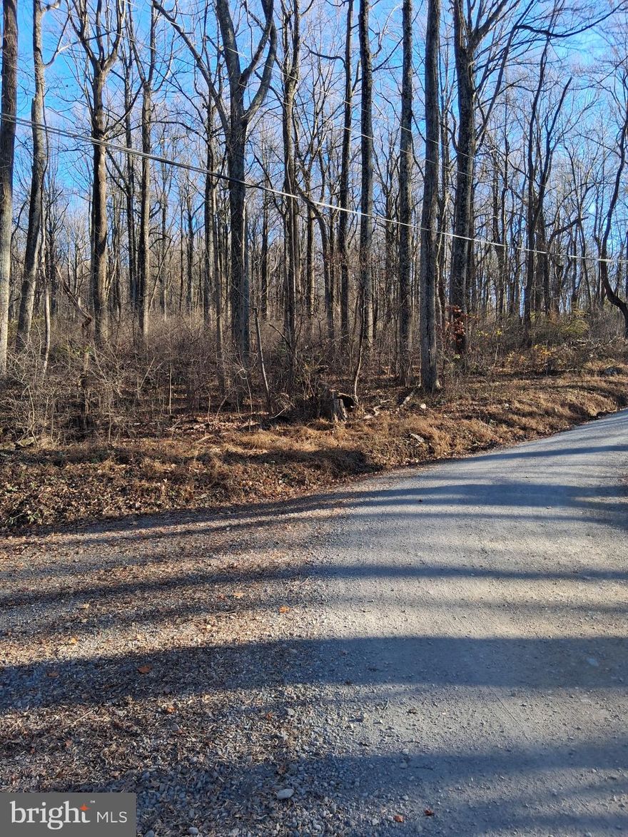 Beautiful ¾ +/- Acre Corner Wooded Lot in a Nature-Filled Community. Discover the perfect blend of privacy, beauty, and recreation on this three-quarter-acre wooded lot located in a serene, wooded-style subdivision. Surrounded by mature trees and natural landscapes, this property offers an ideal setting for your future home, weekend retreat, or investment.
Residents enjoy exclusive access to outstanding community amenities, including:
 Two private lakes – perfect for fishing, kayaking, or relaxing by the water
Multiple river access points – enjoy tubing, canoeing, or quiet walks along the shoreline
 Community center – a great space for gatherings, events, and activities
 Playground – ideal for families and visitors of all ages
This lot provides the peaceful, outdoor-oriented lifestyle you’ve been searching for, with the added bonus of a friendly, amenity-rich community.
Don’t miss this opportunity to own a beautiful piece of land with so much to offer. Build your dream getaway or your forever home—this property is ready for your vision. There are also several local builders who could look at a house plan you may have and give you a price to build if you request such. Several to choose from!