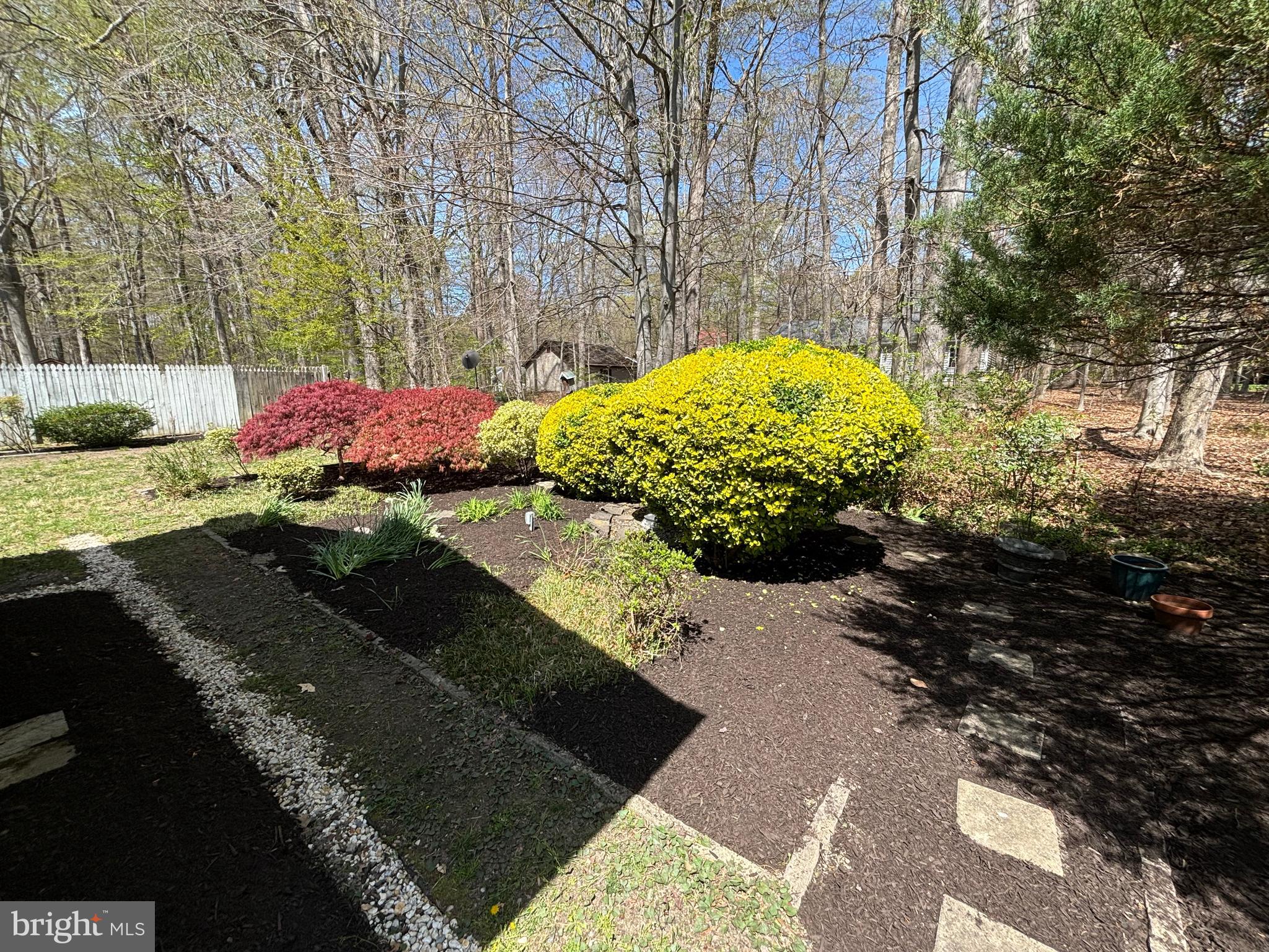 SOUTH BEECHWOOD - Residential