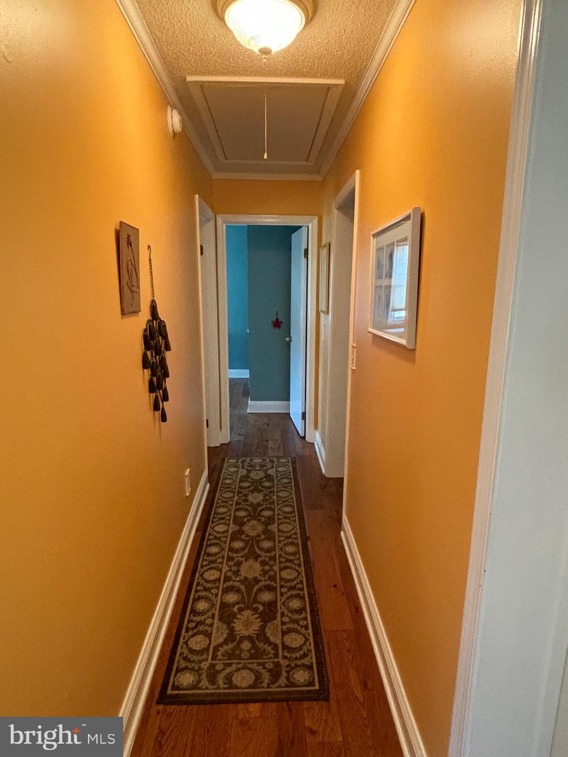 SOUTH BEECHWOOD - Residential