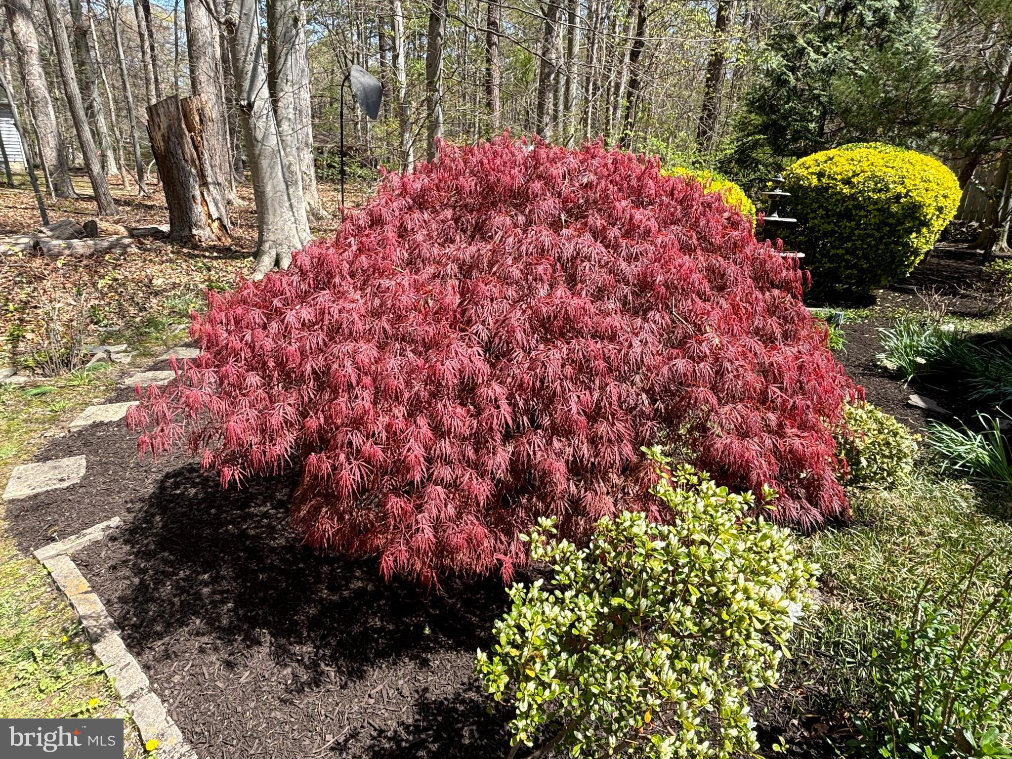 SOUTH BEECHWOOD - Residential