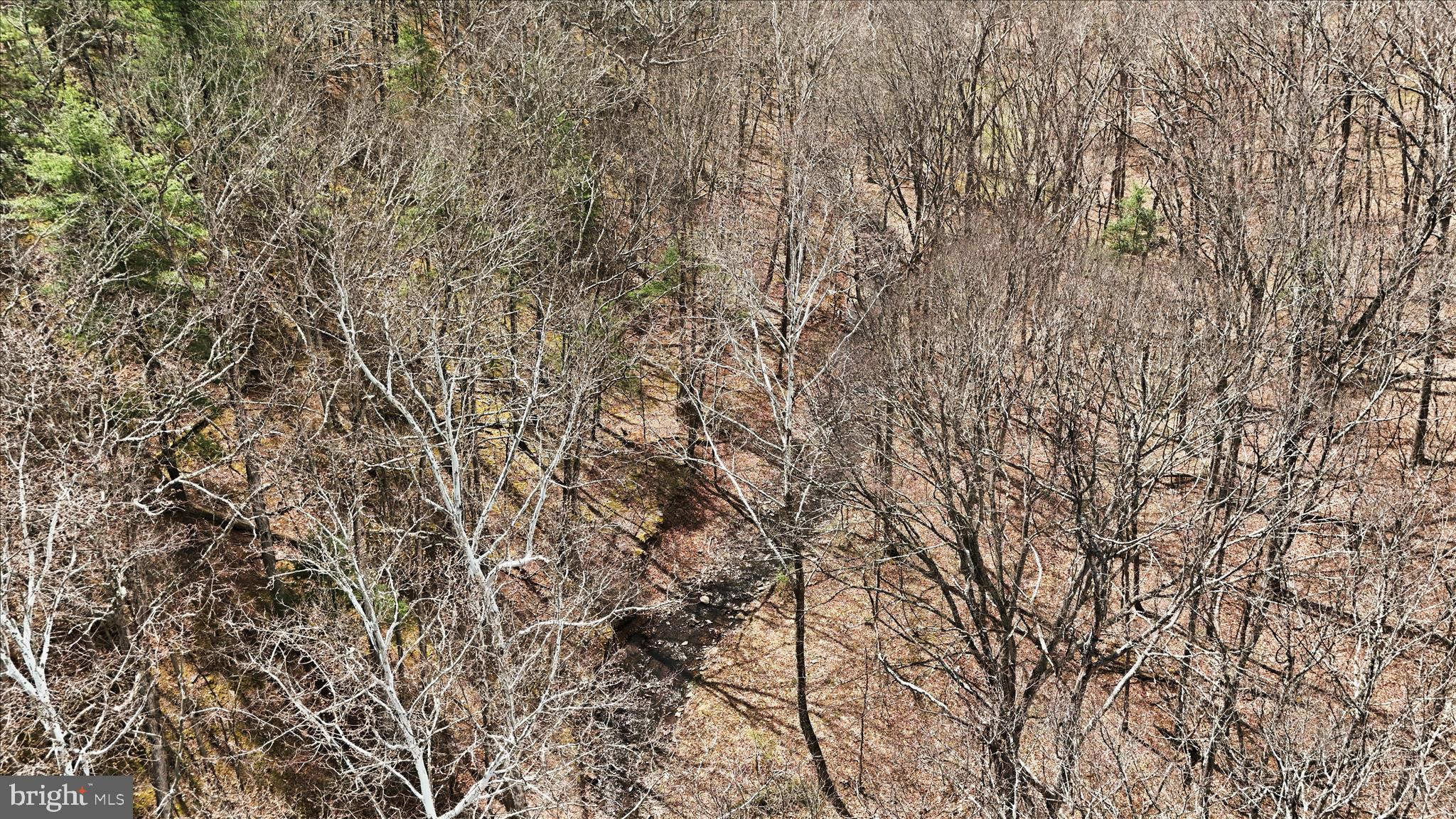 PEACH LAKE FARMS - Land