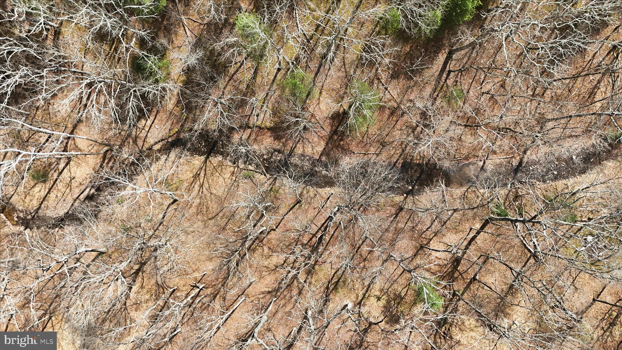 PEACH LAKE FARMS - Land