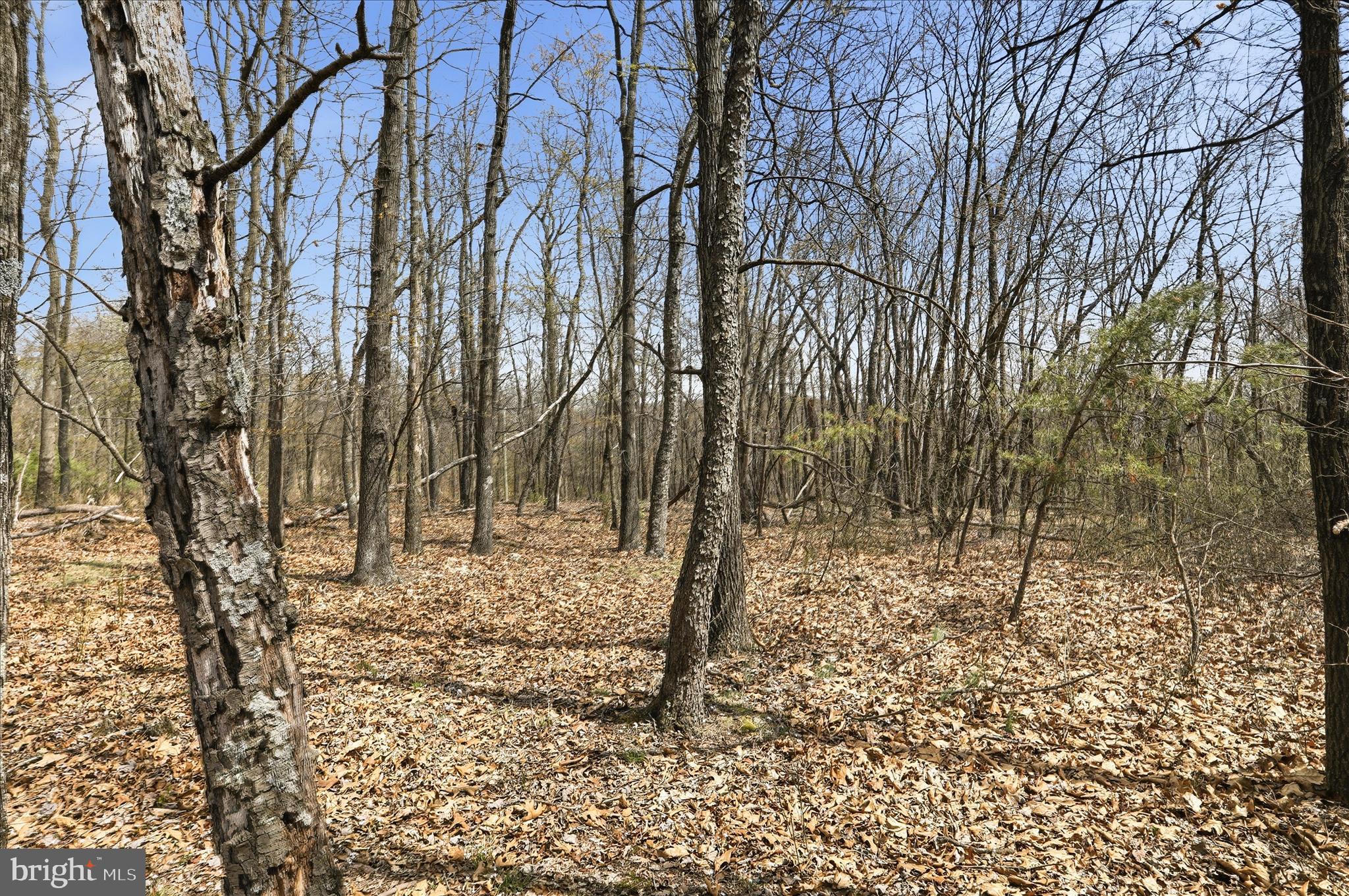 PEACH LAKE FARMS - Land