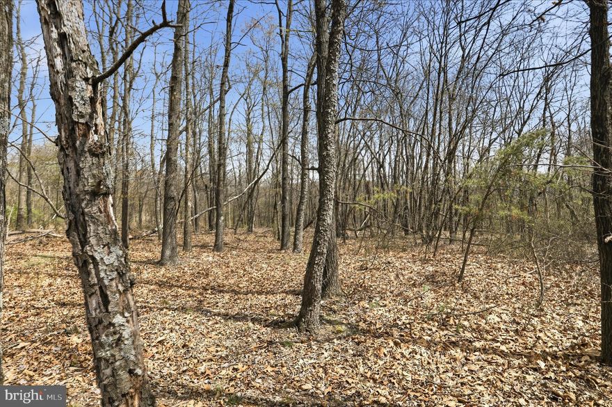 Discover the perfect blend of privacy and convenience with this nearly 10-acre wooded retreat, ideally located at the end of a quiet non-through road. Tucked away in a peaceful setting, this property offers a beautiful, gently elevated build site ideal for your dream home or getaway cabin. A year-round stream winds through the land, adding both charm and a soothing natural feature to enjoy in every season. Enjoy the freedom to hunt on your own property, ride ATVs, or simply explore the natural surroundings. With easy access and just a short drive to downtown Romney, WV, you’ll appreciate the balance of seclusion without sacrificing proximity to local shops, dining, and amenities. Whether you're ready to build your forever home, create a private recreational escape, or invest for the future, this scenic parcel is full of potential!
