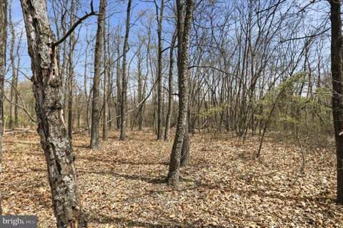 Vacant Land For Sale - LOT 62 PHASE 2 Crest Haven Road<br/> ROMNEY, WV 26757