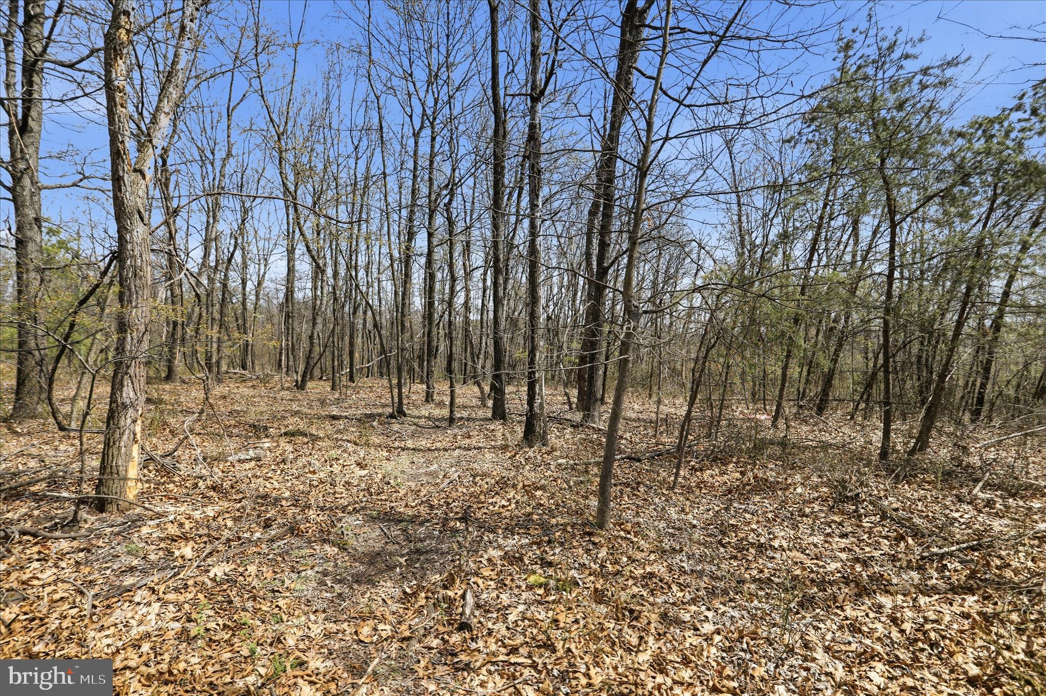 PEACH LAKE FARMS - Land