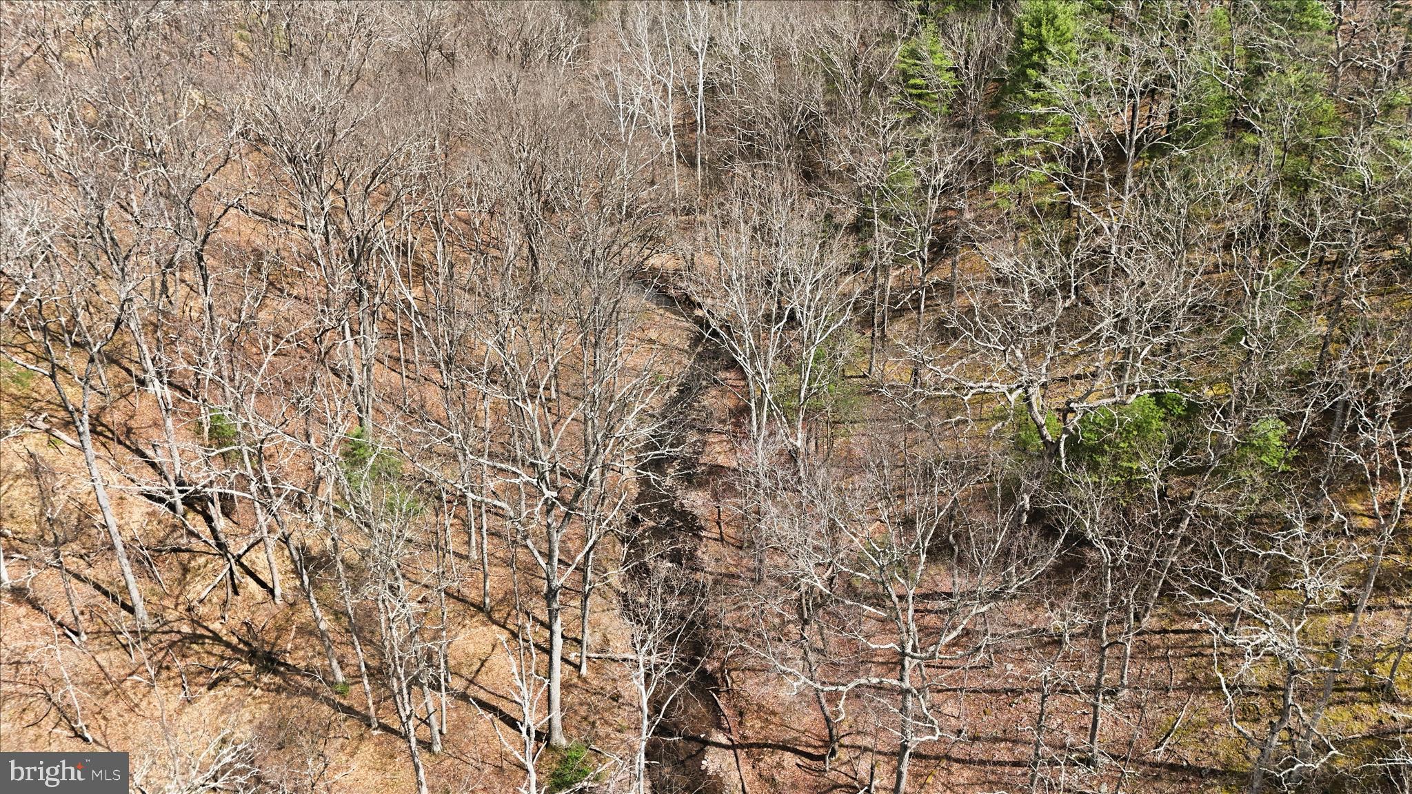 PEACH LAKE FARMS - Land