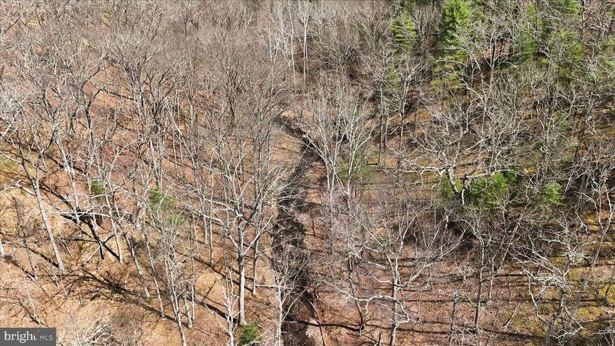 Discover the perfect blend of privacy and convenience with this nearly 10-acre wooded retreat, ideally located at the end of a quiet non-through road. Tucked away in a peaceful setting, this property offers a beautiful, gently elevated build site ideal for your dream home or getaway cabin. A year-round stream winds through the land, adding both charm and a soothing natural feature to enjoy in every season. Enjoy the freedom to hunt on your own property, ride ATVs, or simply explore the natural surroundings. With easy access and just a short drive to downtown Romney, WV, you’ll appreciate the balance of seclusion without sacrificing proximity to local shops, dining, and amenities. Whether you're ready to build your forever home, create a private recreational escape, or invest for the future, this scenic parcel is full of potential!