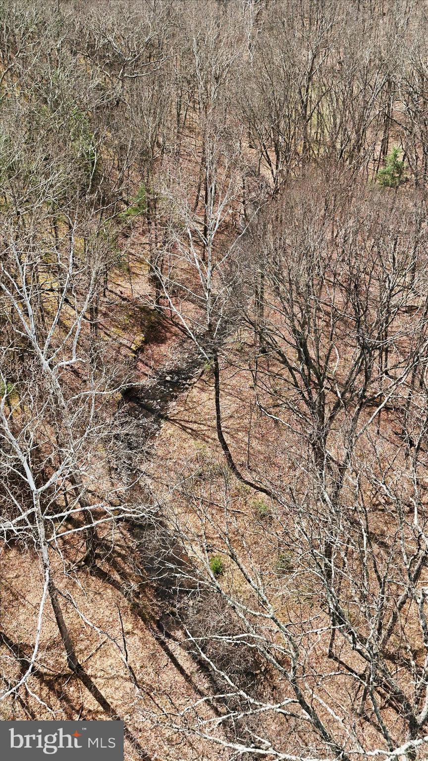 PEACH LAKE FARMS - Land