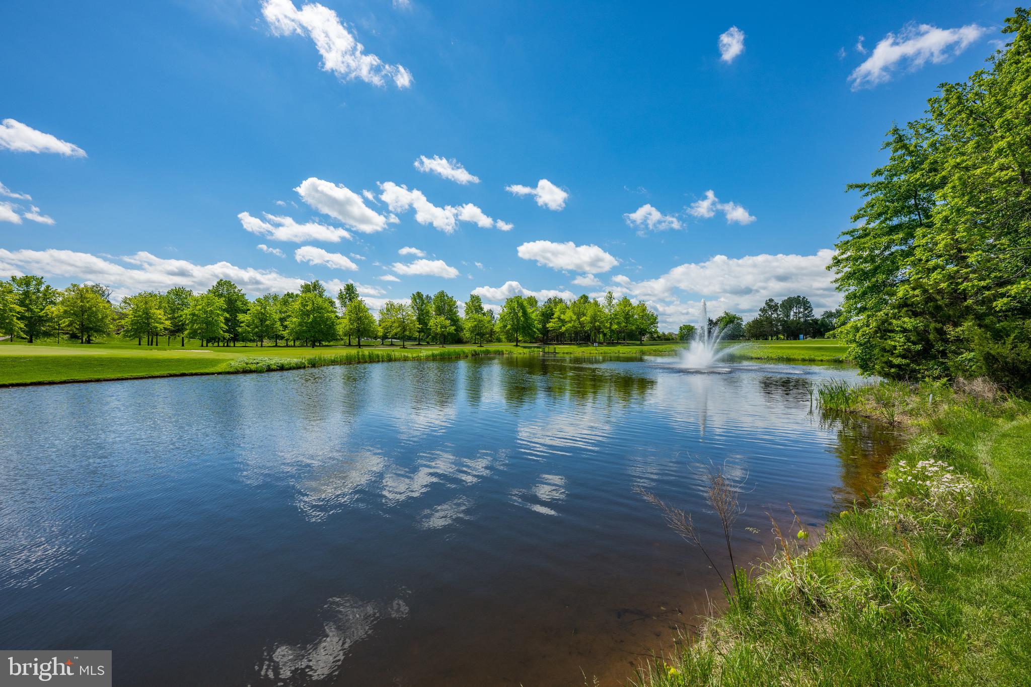 REGENCY AT DOMINION VALLEY - Residential