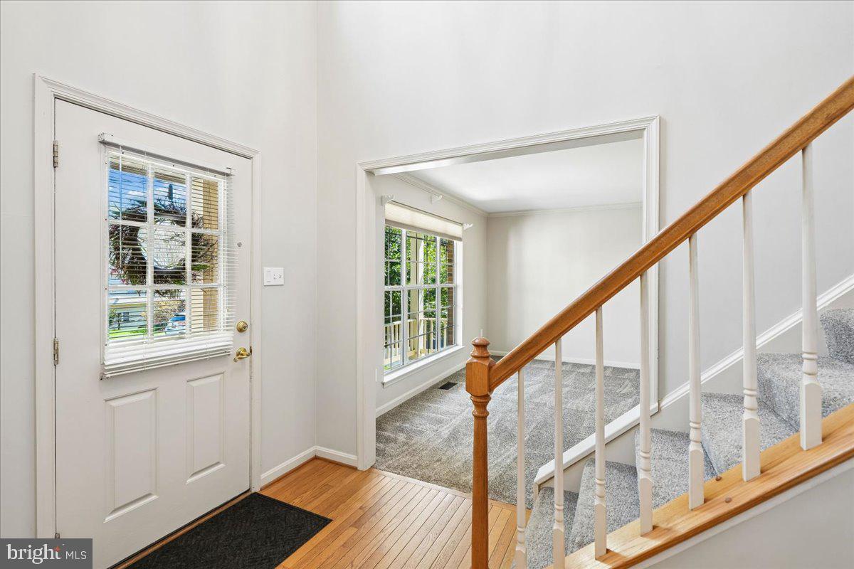 18512 FIDDLELEAF TERRACE