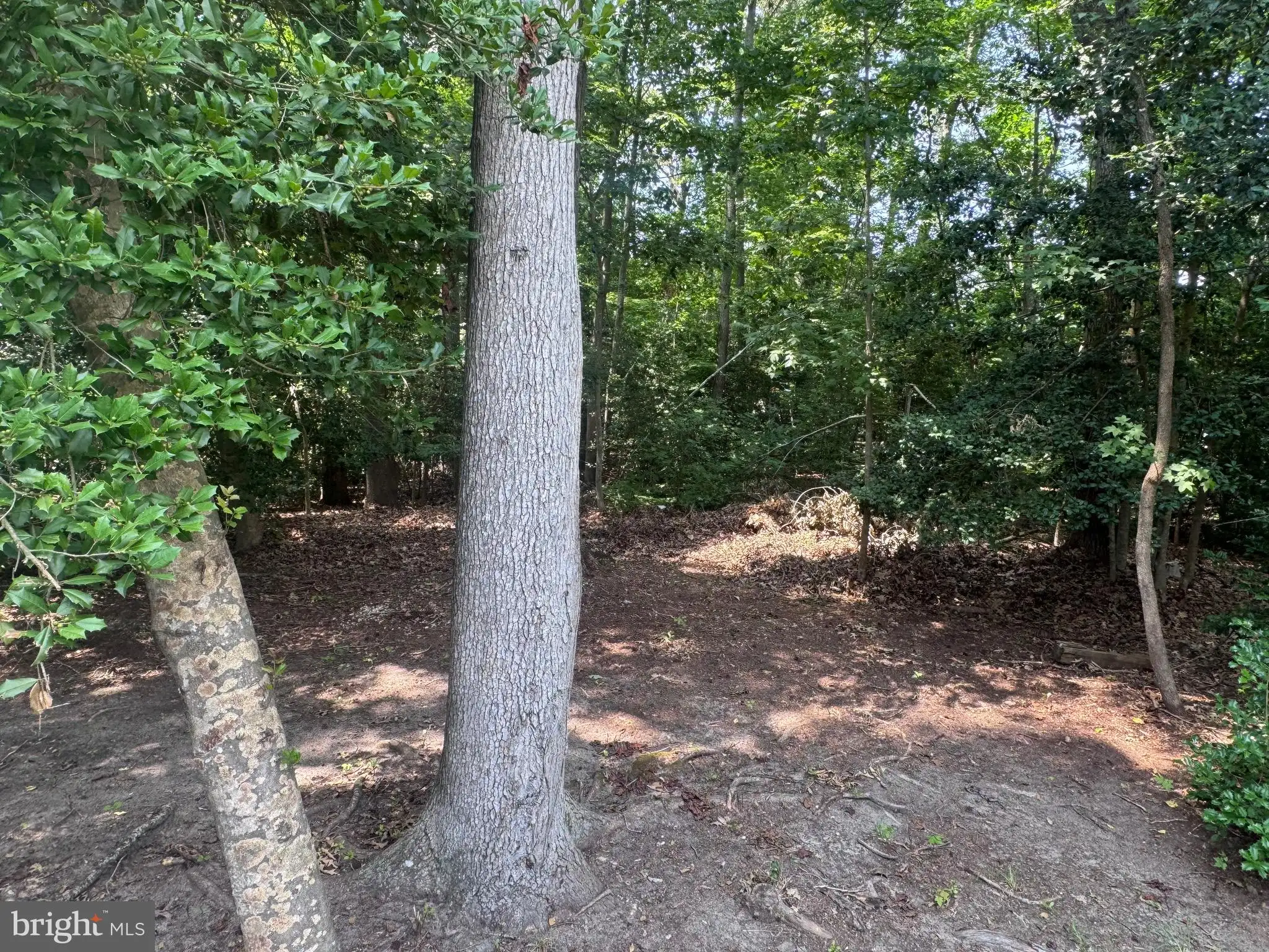 Additional image 110 of 218 Long Neck Circle, Millsboro, DE 19966
