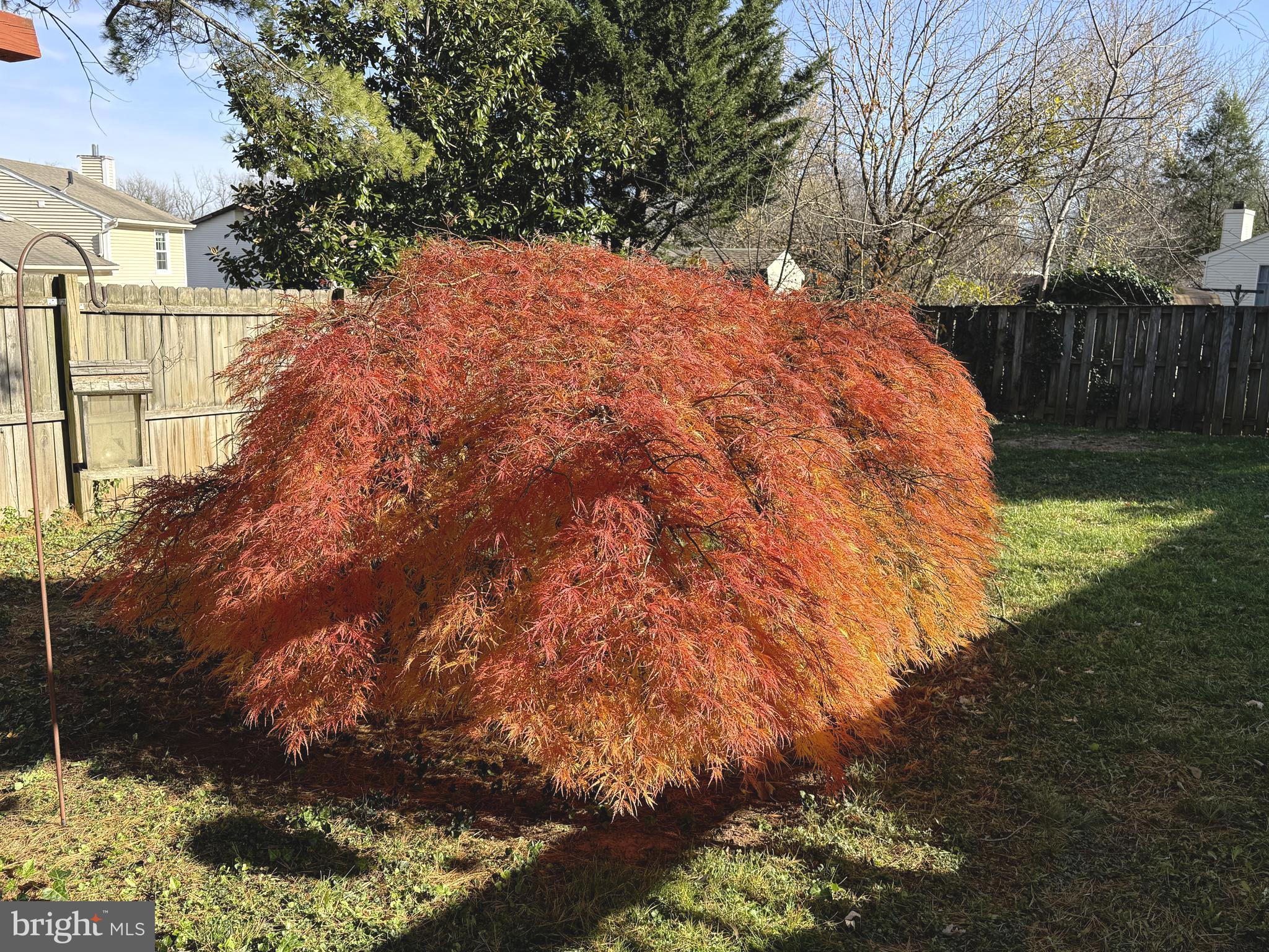 HILLCREST ORCHARDS - Residential