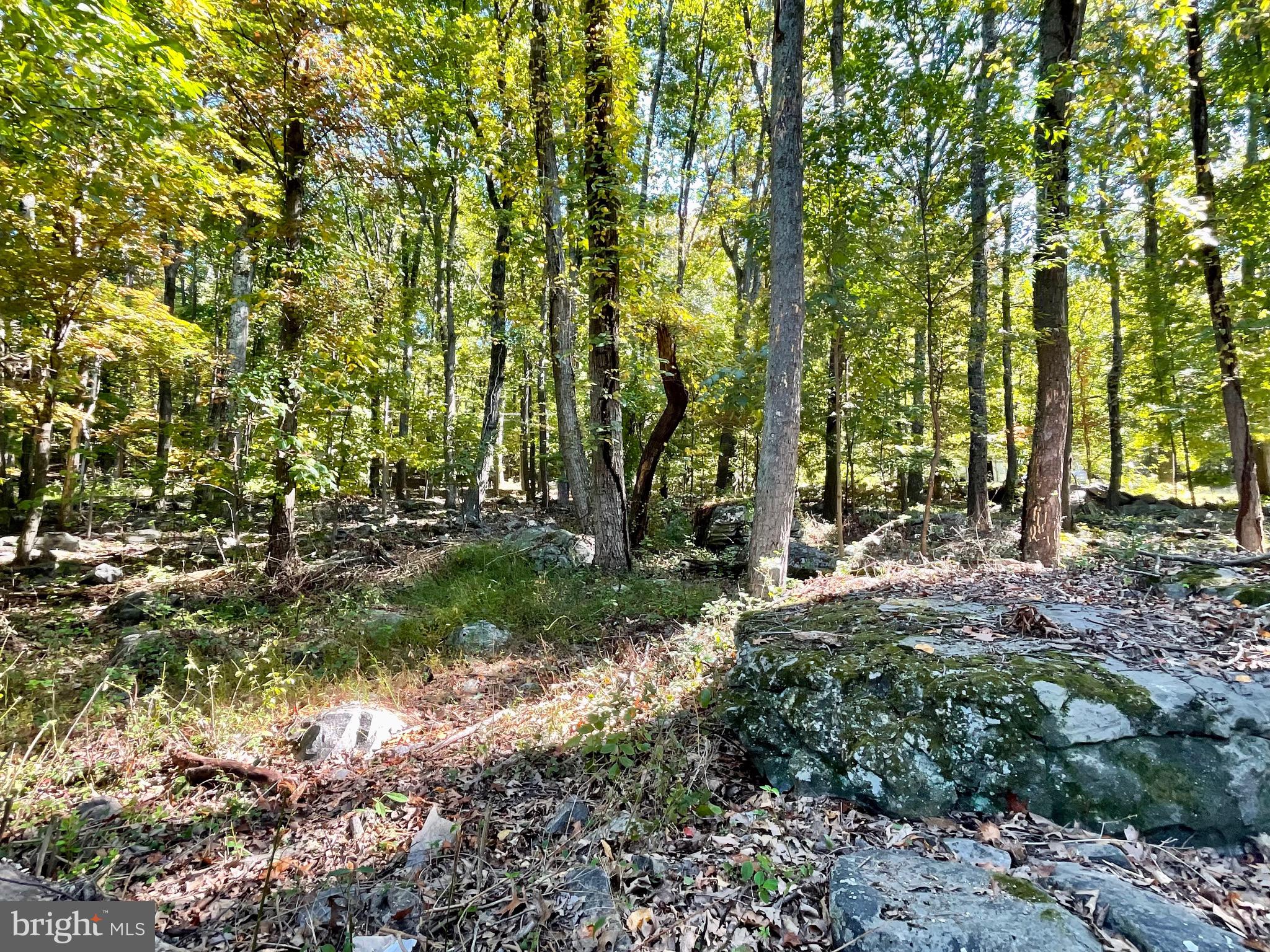 WESTRIDGE HILLS - Residential