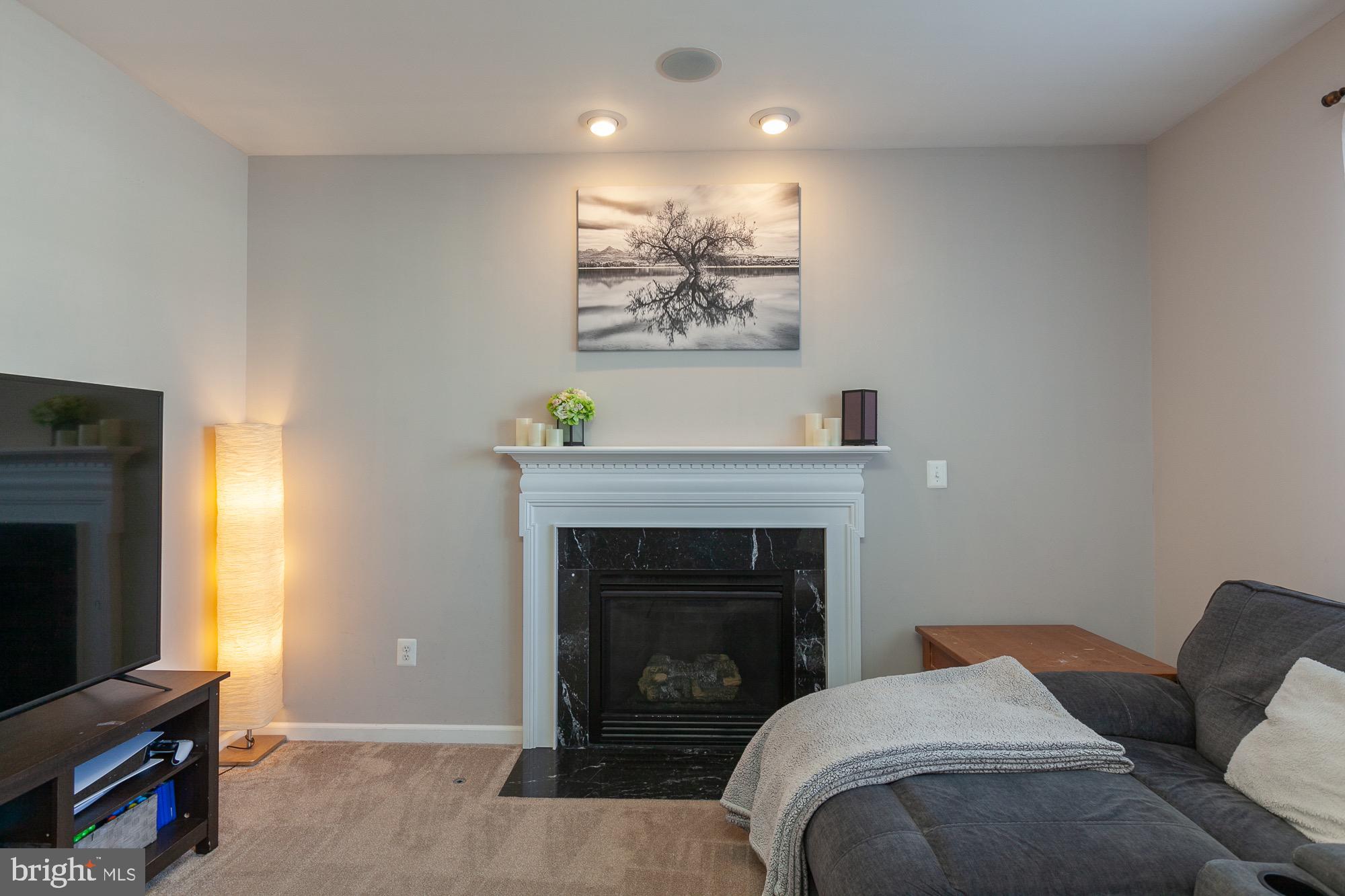 VILLAGE OF WASHINGTON TRAIL - Residential