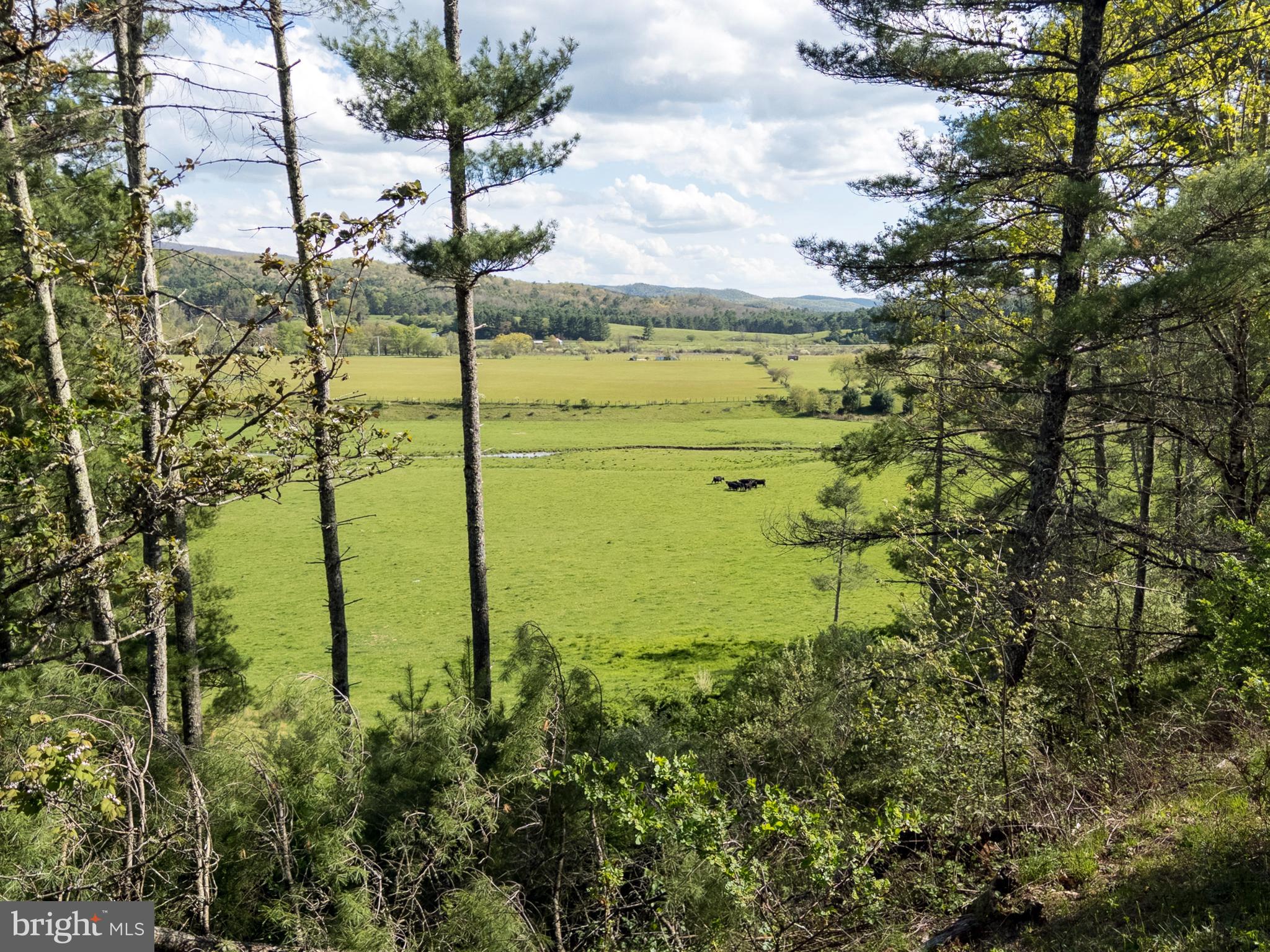 83 HILL COUNTRY ROAD