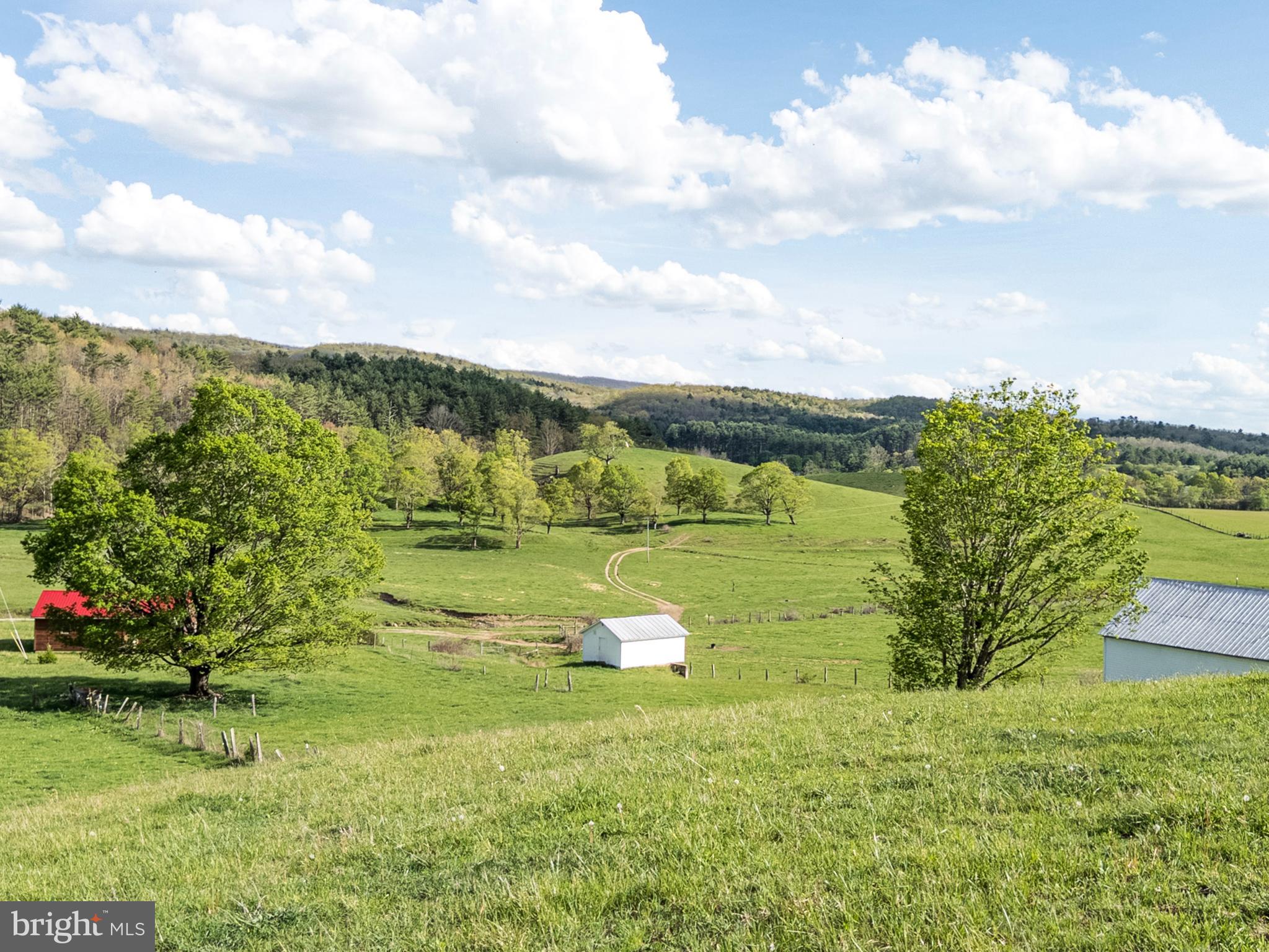 NONE AVAILABLE - Farm