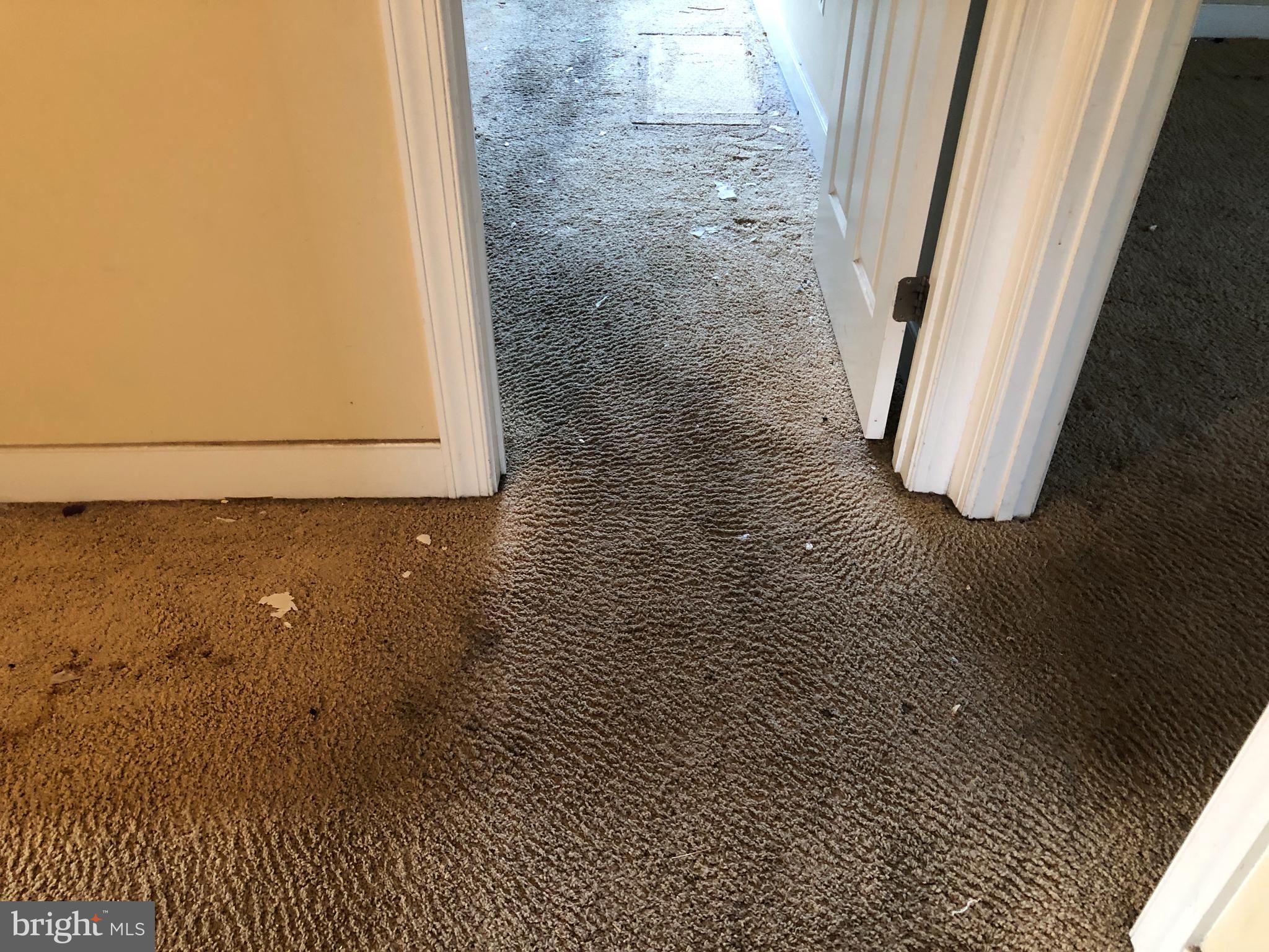 MIDDLETOWN WOODS - Residential