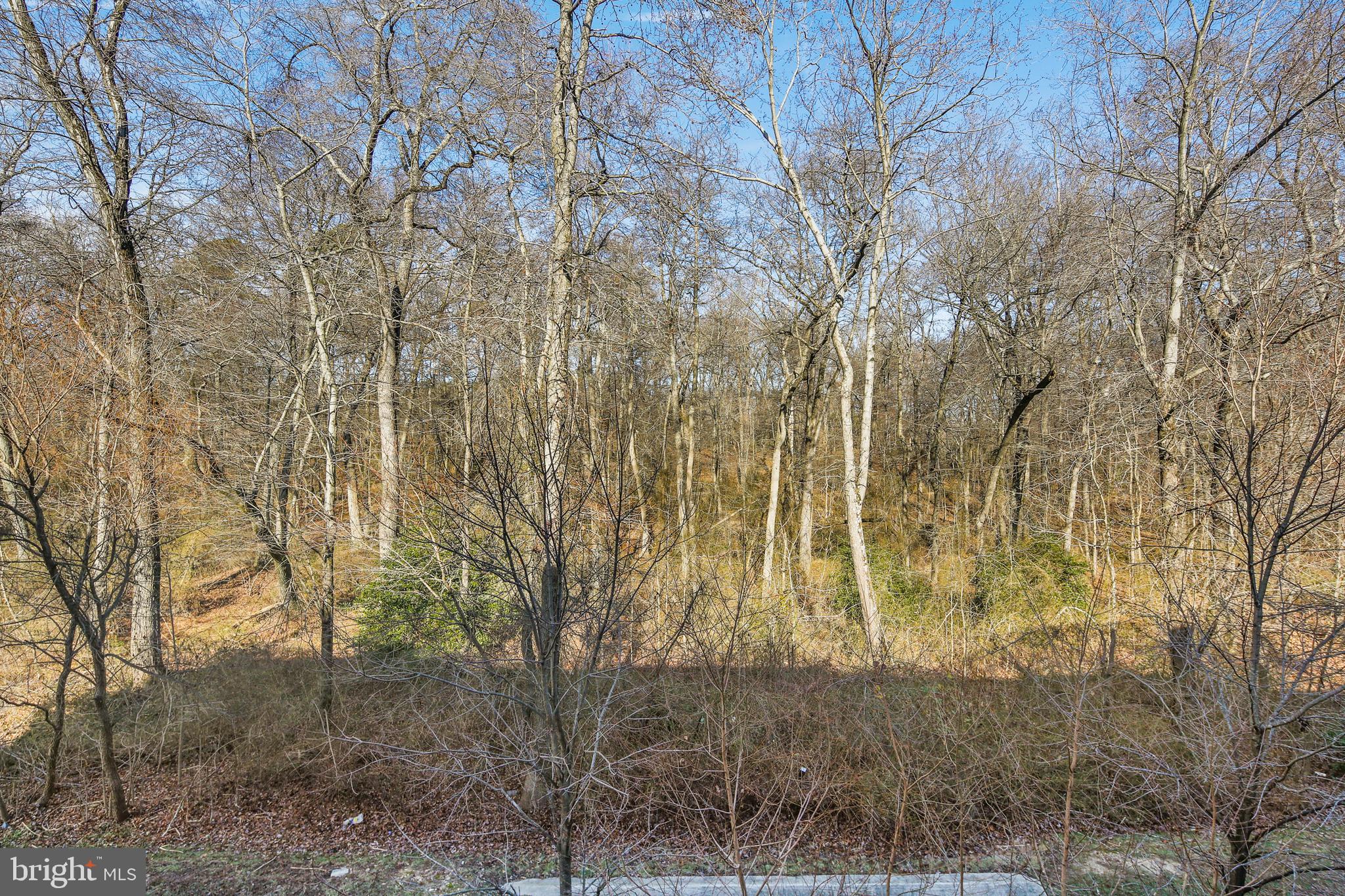 DORCHESTER WOODS - Residential Lease