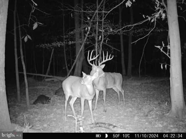 MYRTLE GROVE ESTATES - Residential