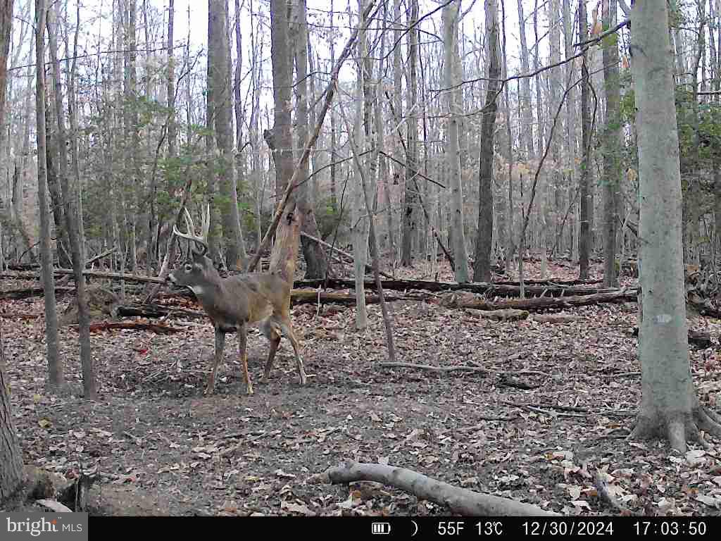 MYRTLE GROVE ESTATES - Residential