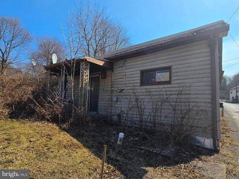 9 CHARLESTOWN ROAD SW LONACONING MD 21539