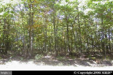 LAKE WILDERNESS - Land