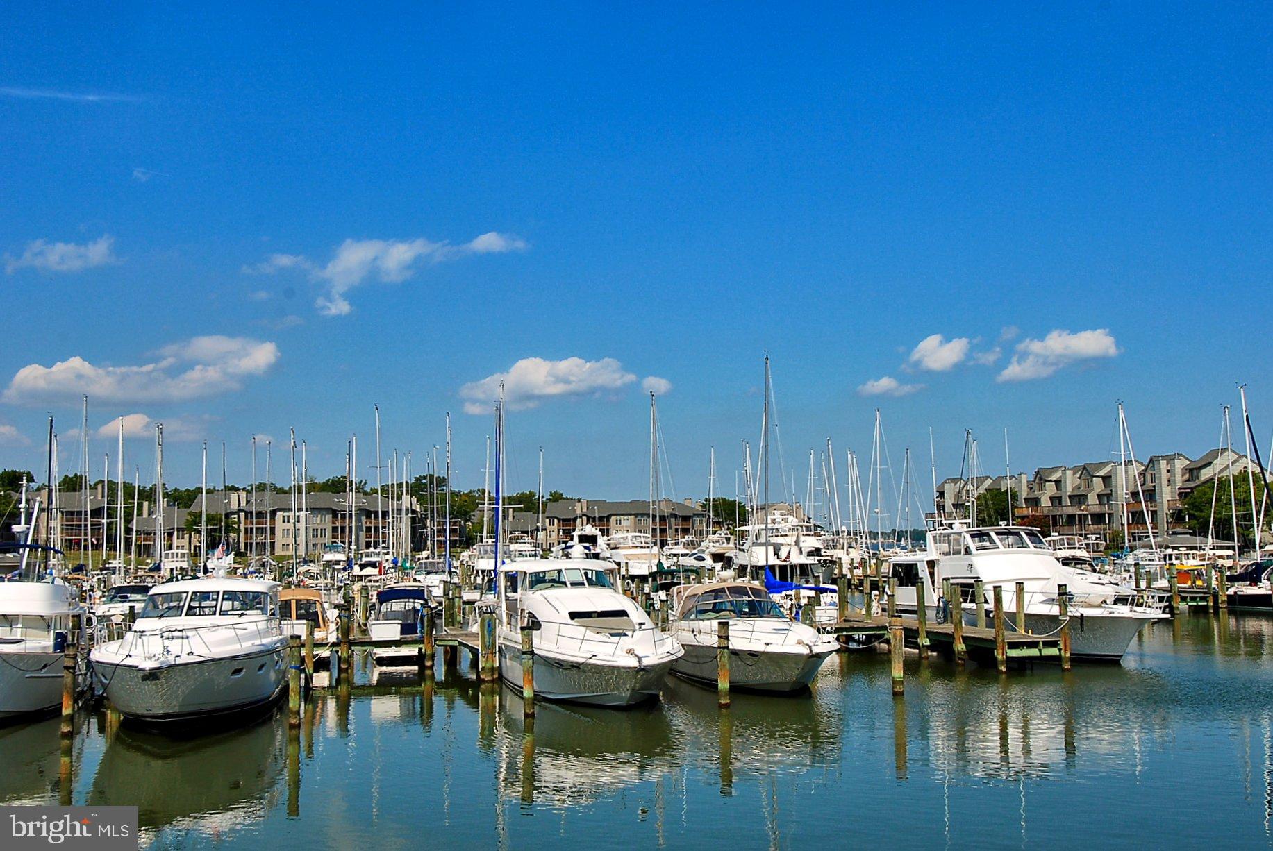 CHESAPEAKE HARBOUR - Residential
