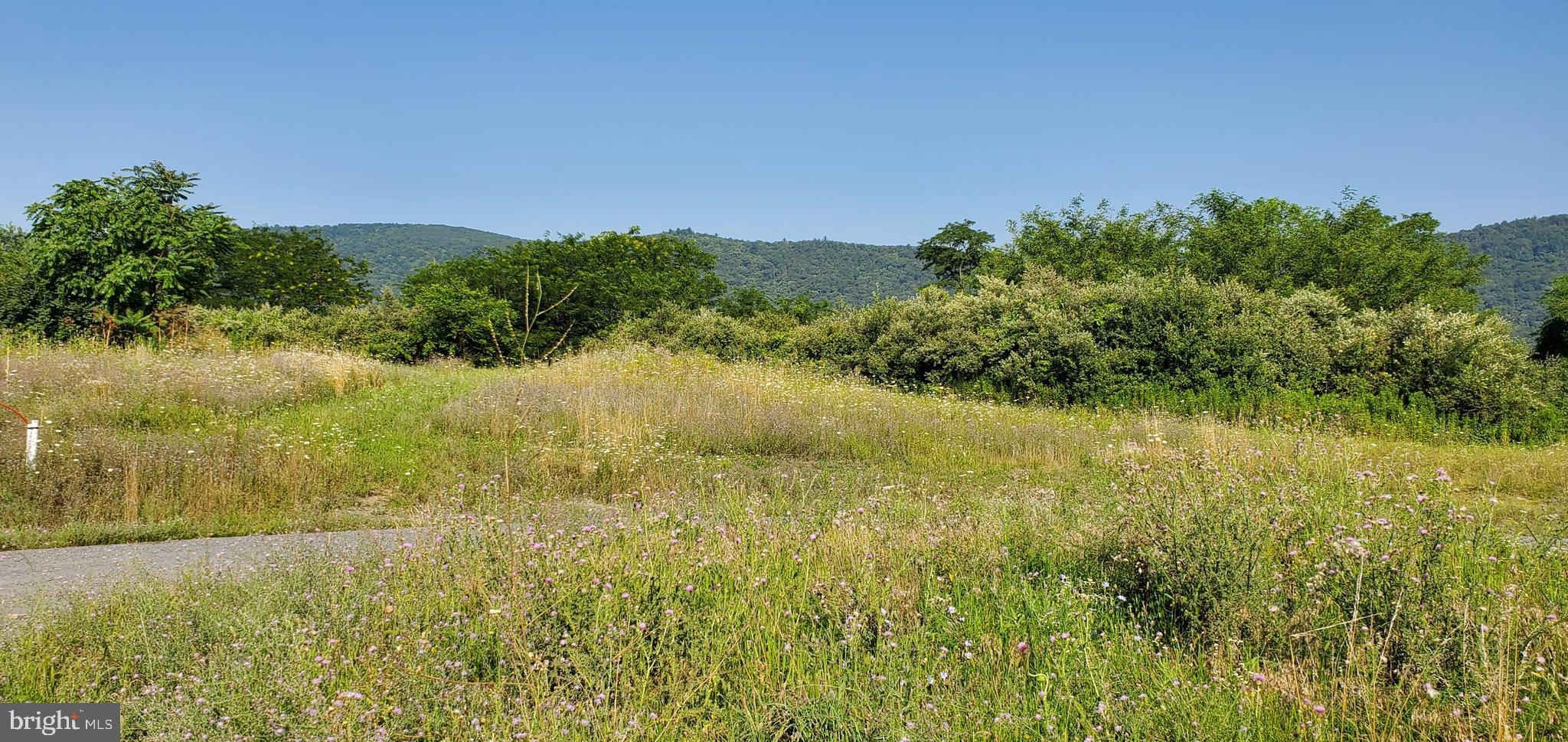 LOUDON'S VIEW - Land