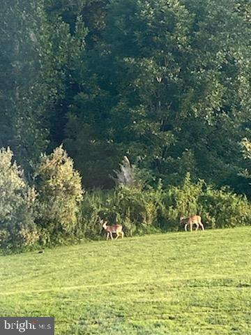 DOVE HILL ESTATES - Residential