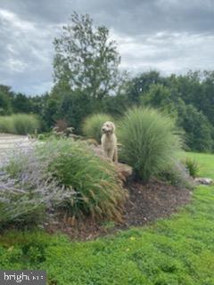 DOVE HILL ESTATES - Residential