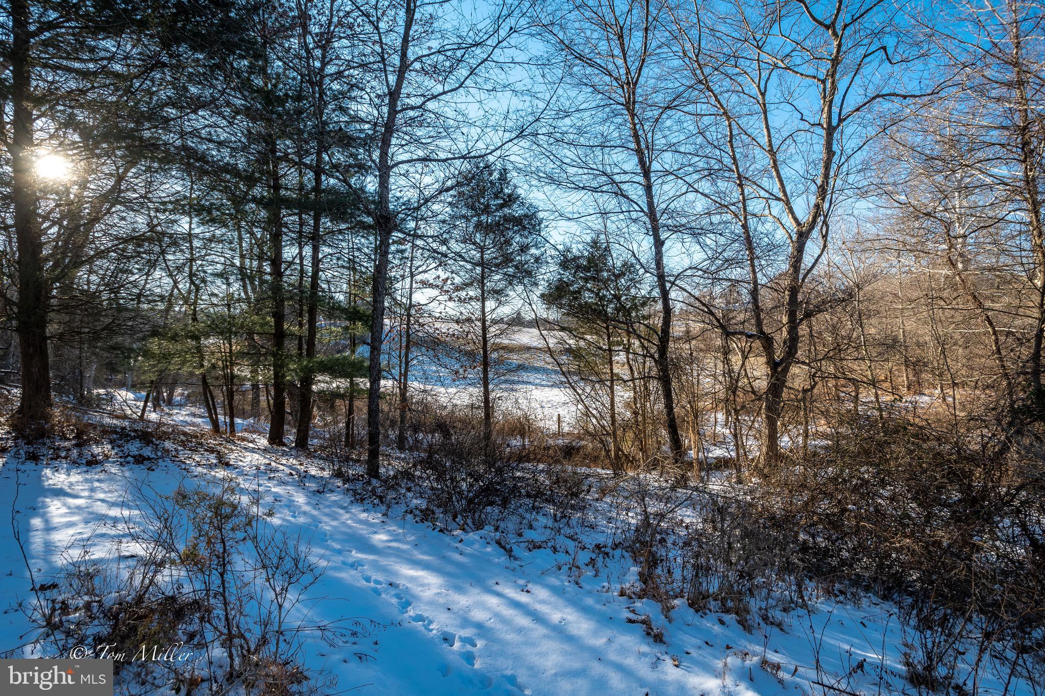 DOVE HILL ESTATES - Residential