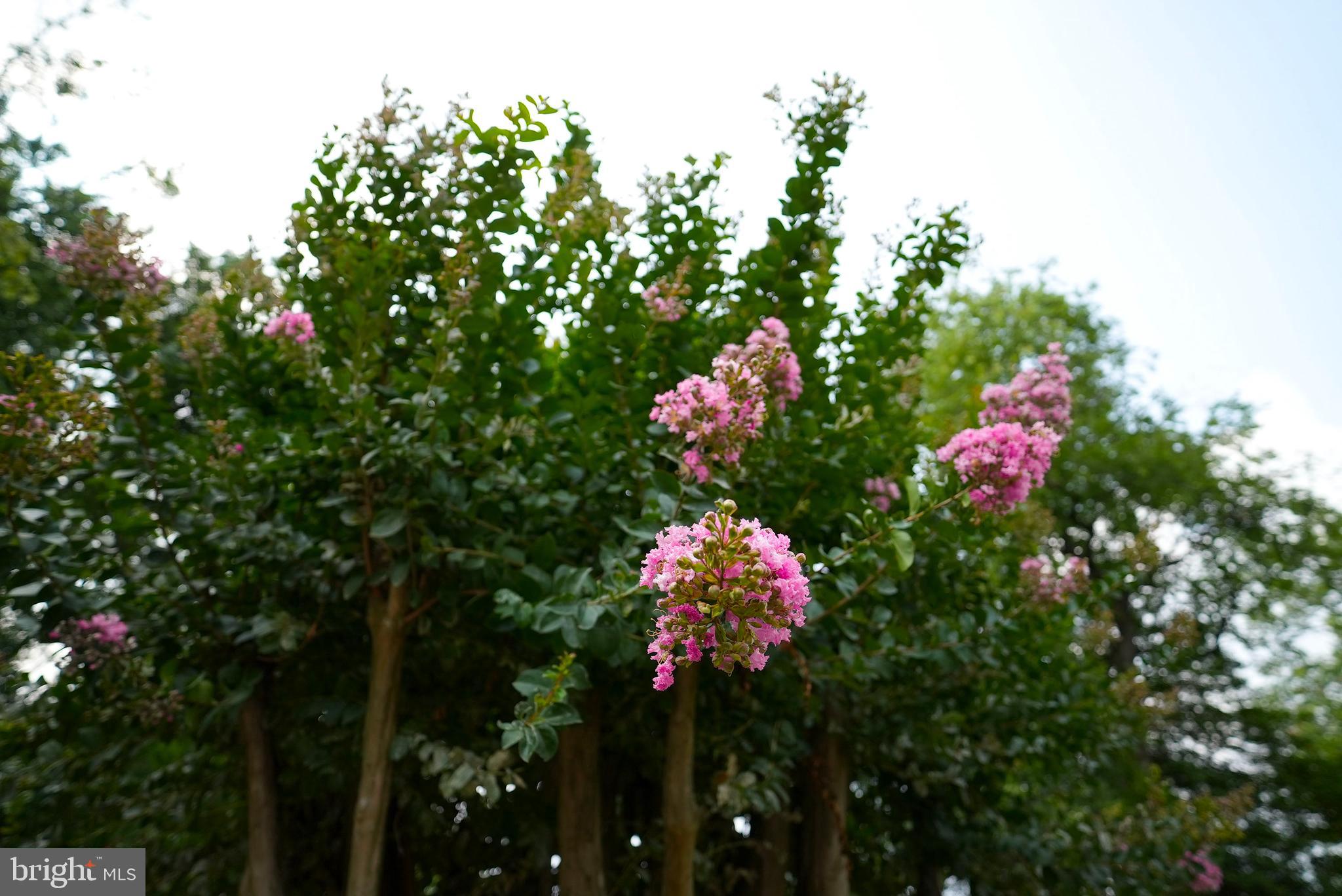 HUNTERWOOD - Residential