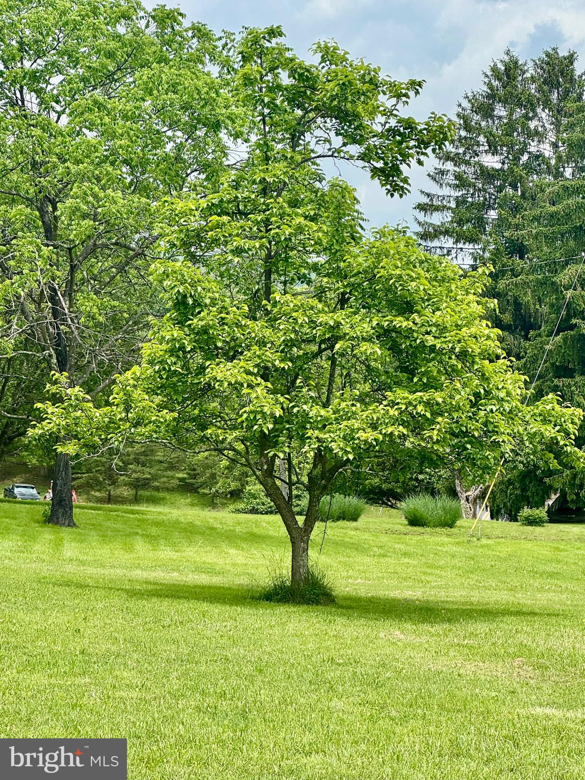 OLDTOWN - Residential