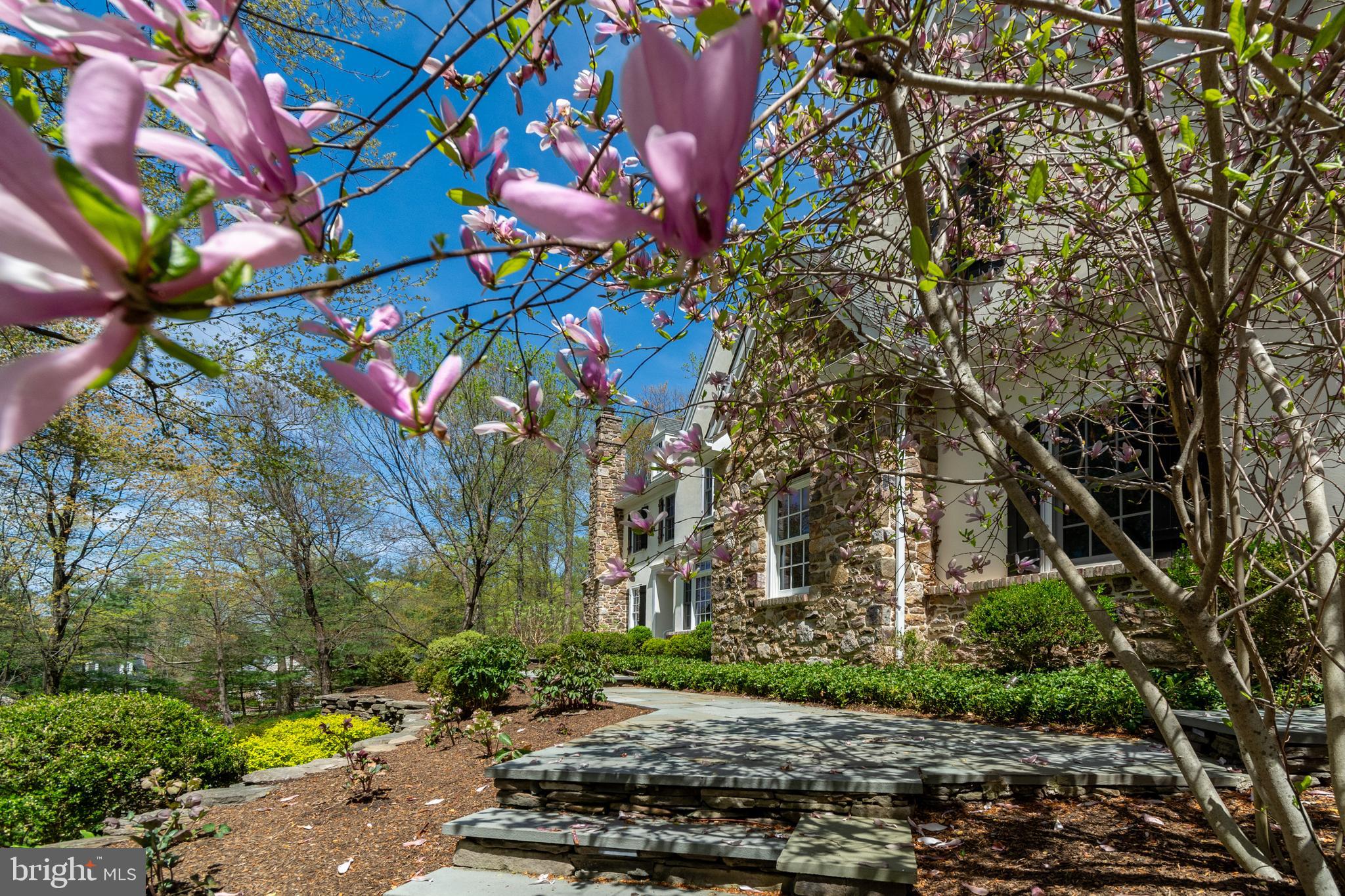 STONE MOUNT @ JERI - Residential