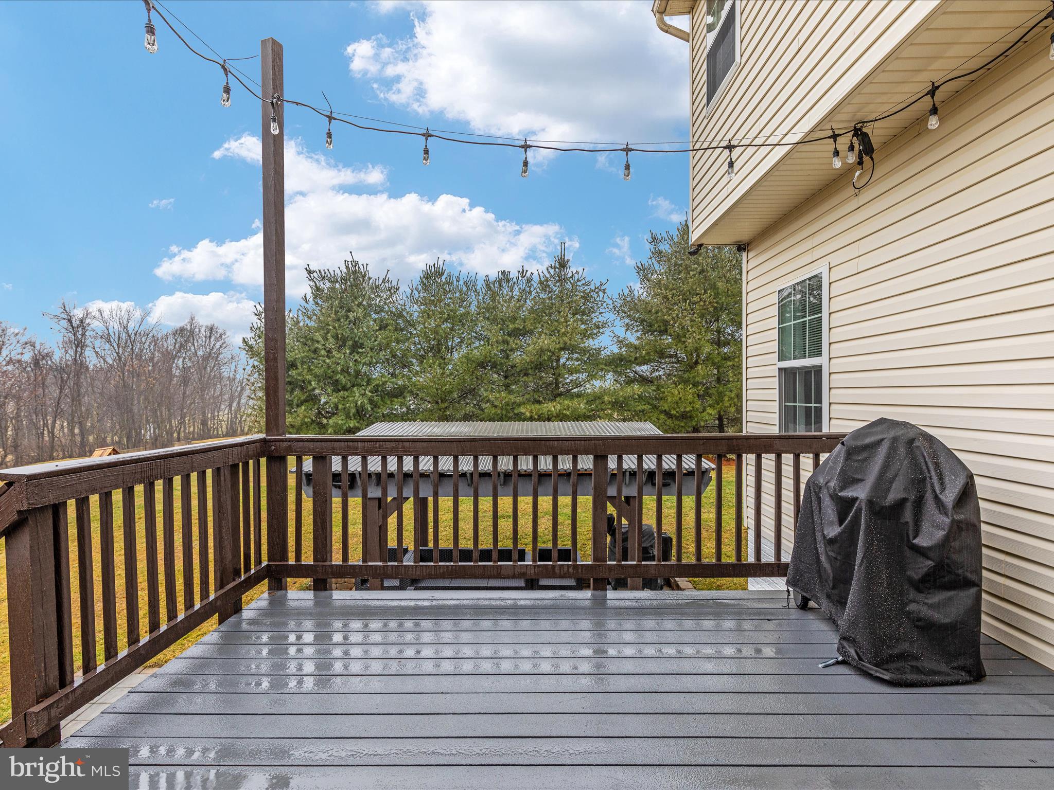 GEORGETOWN ORCHARDS - Residential