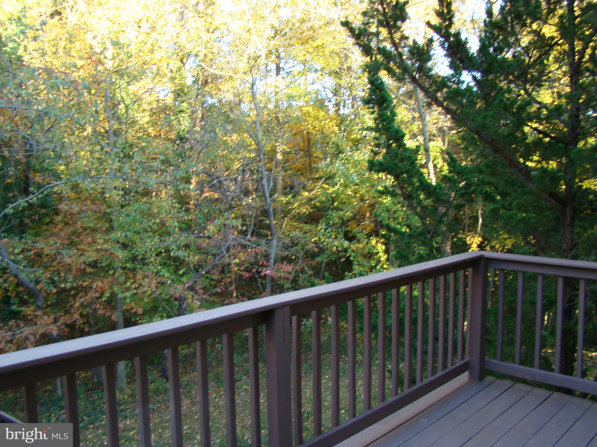 RIVA TRACE - Residential