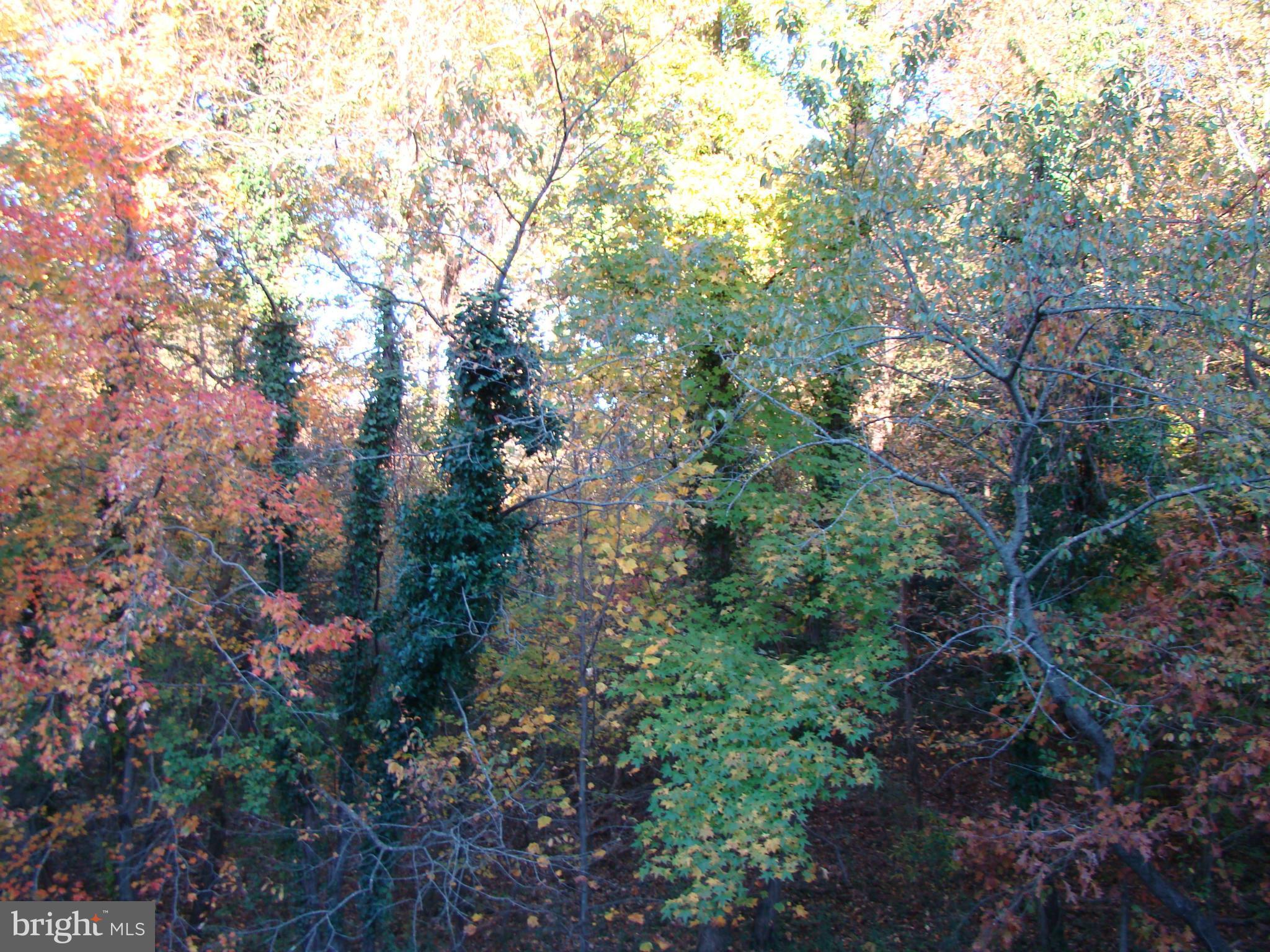 RIVA TRACE - Residential