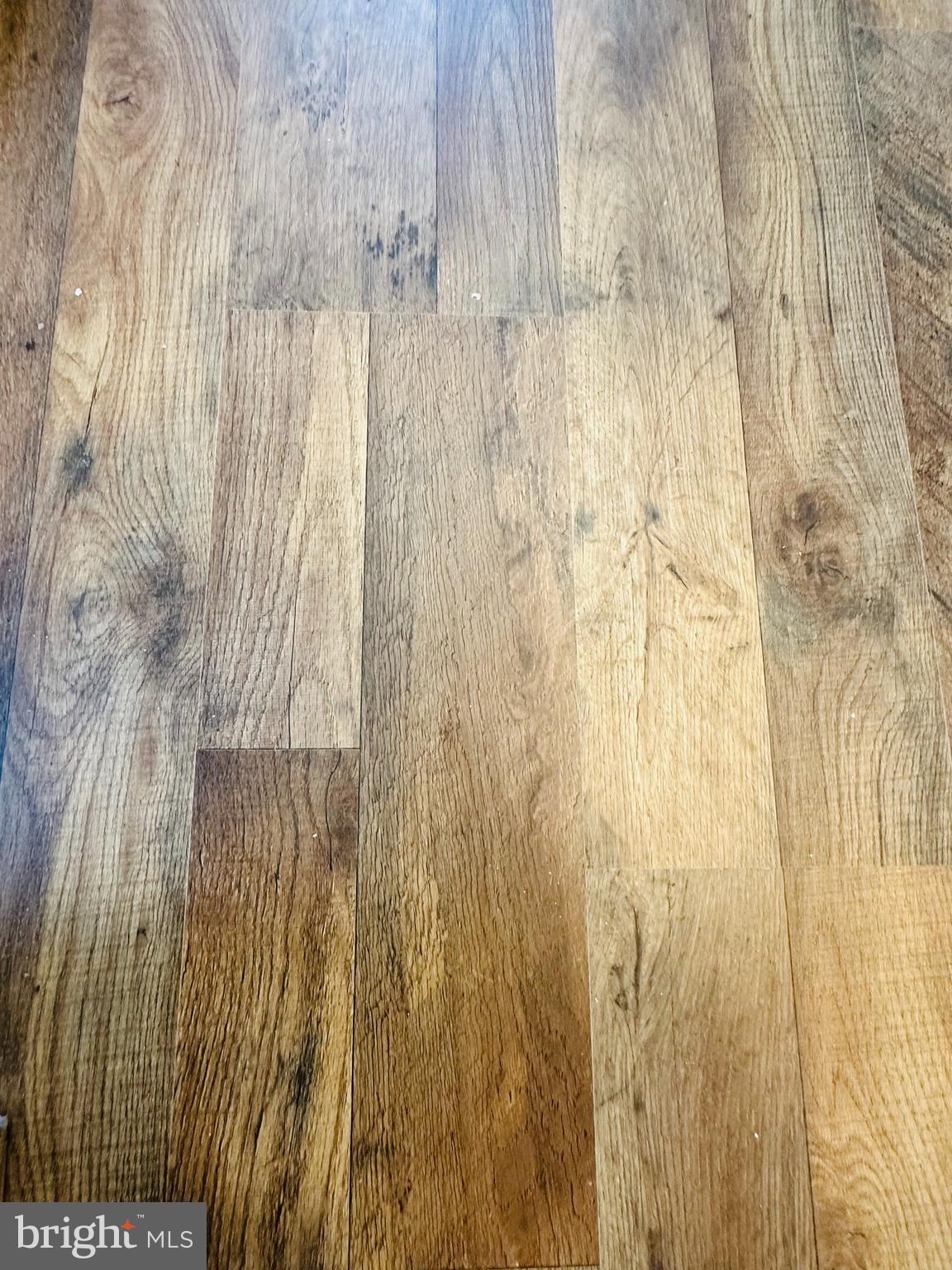 FUNKSTOWN - Residential Lease