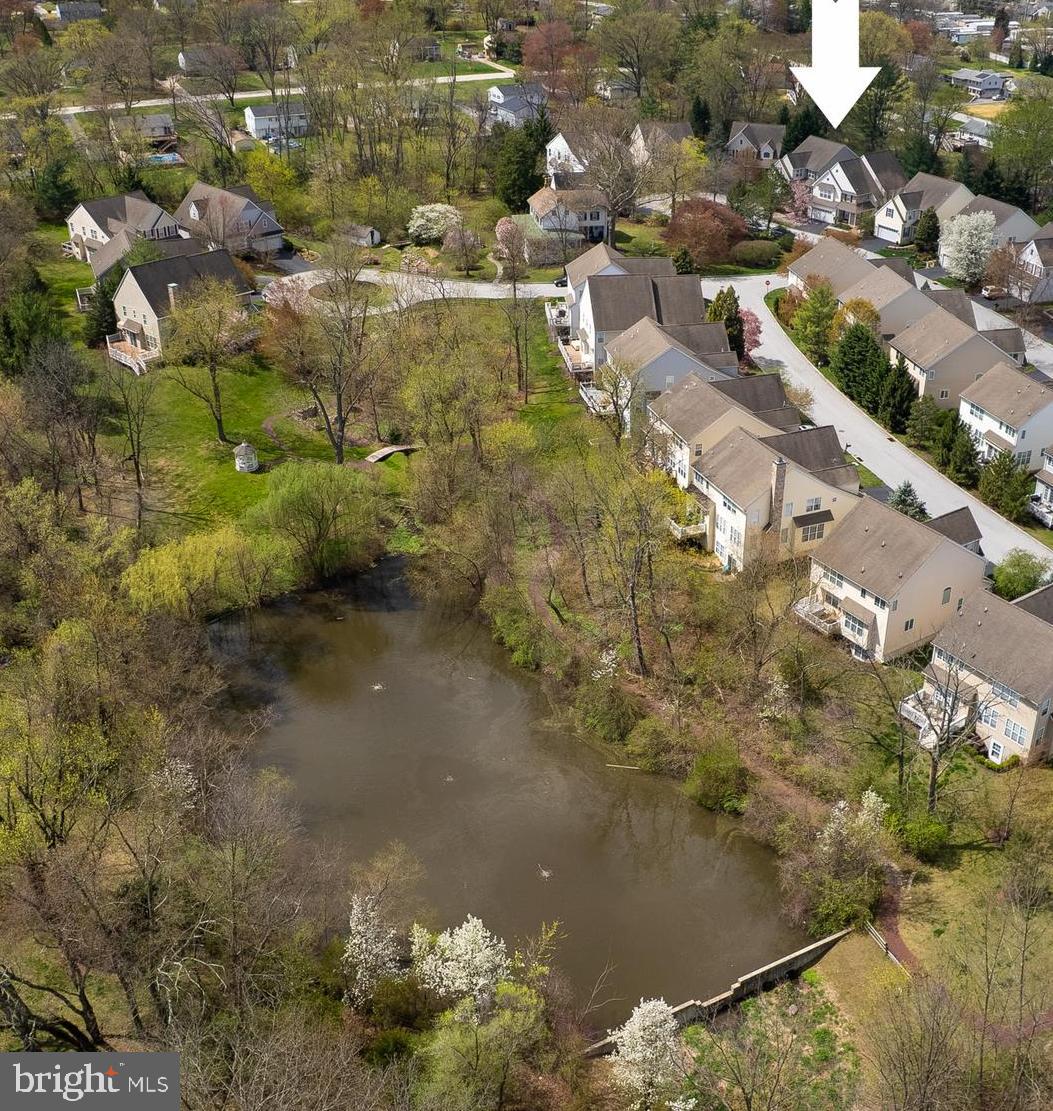 POTTERS POND - Residential