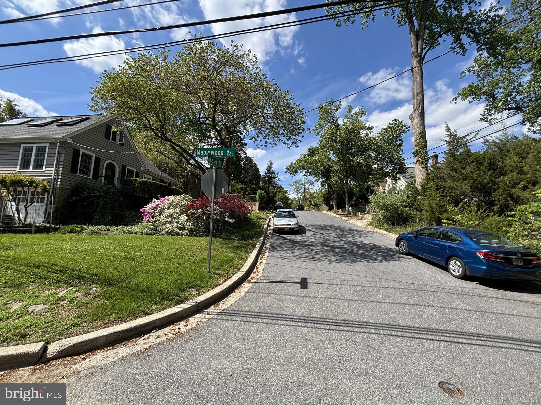 FLOWER AVE PARK - Residential