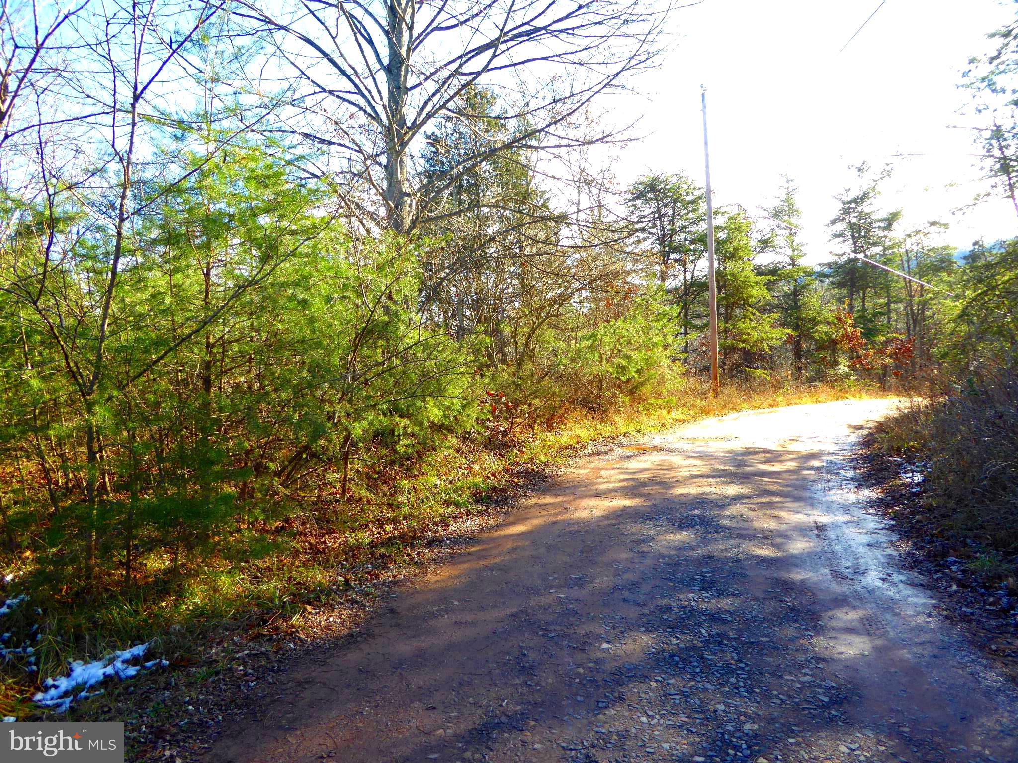 WOODLAND ESTATES - Land