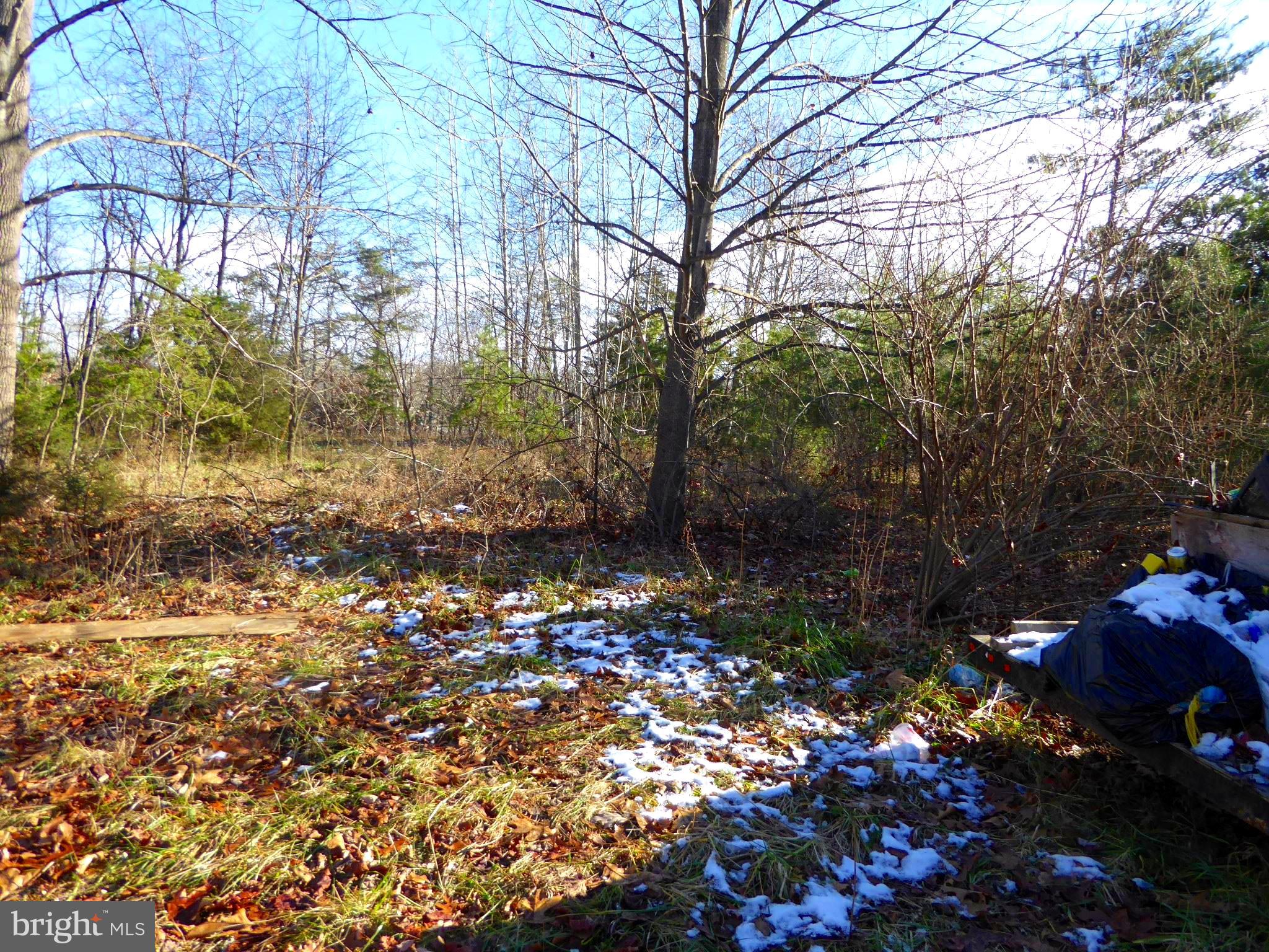 WOODLAND ESTATES - Land