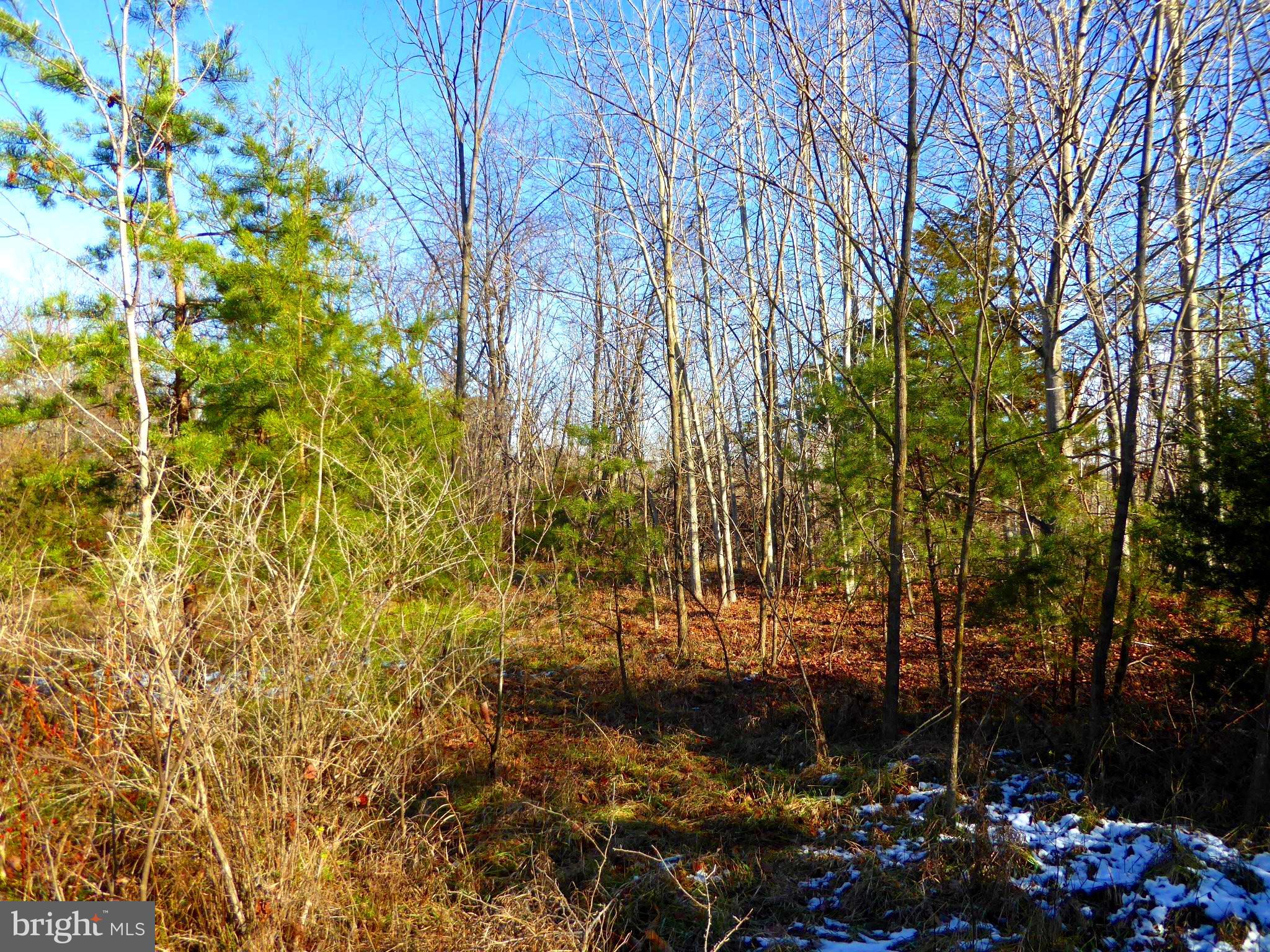 WOODLAND ESTATES - Land