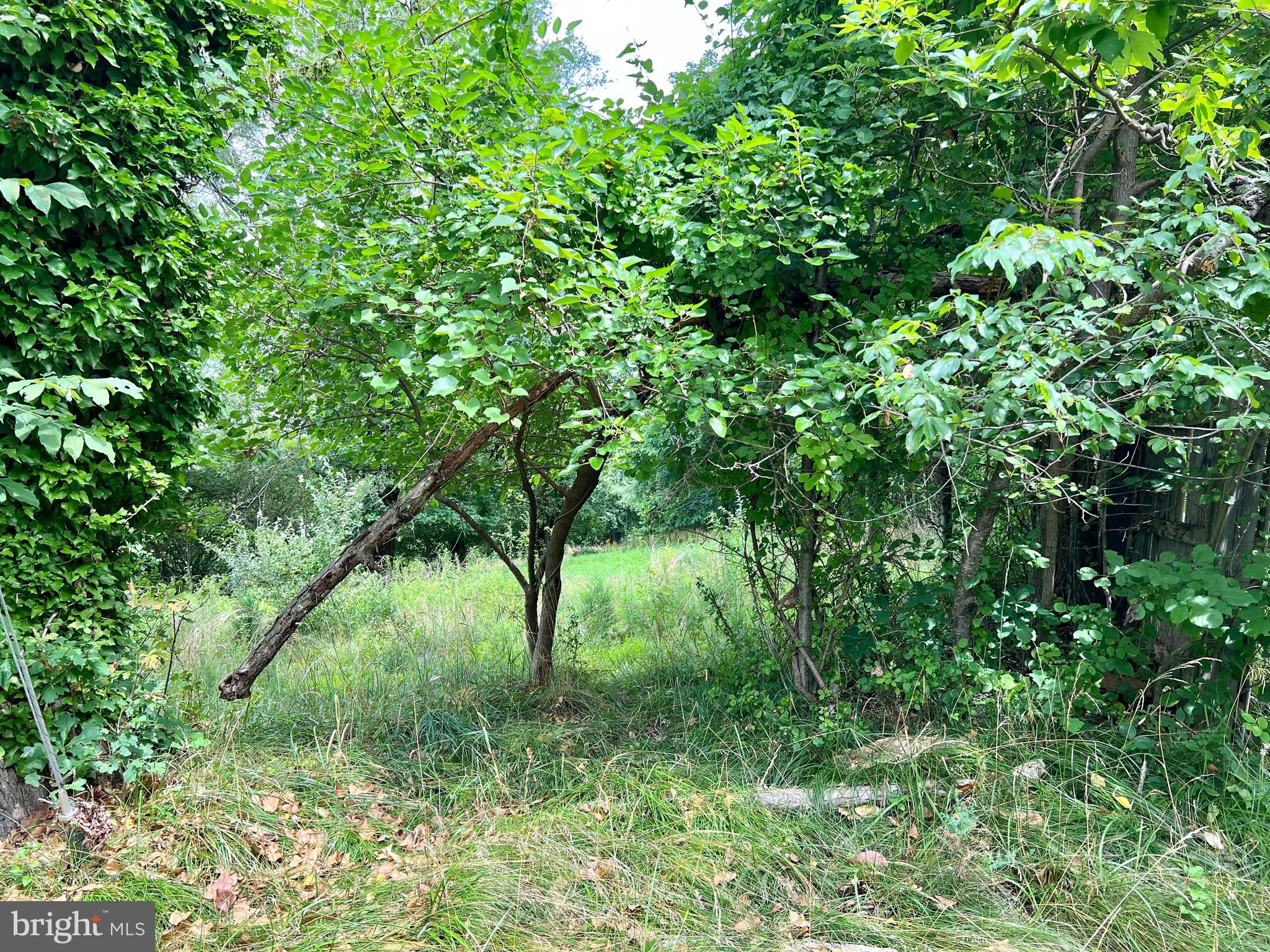 DAISY HILL ESTATES - Commercial Sale