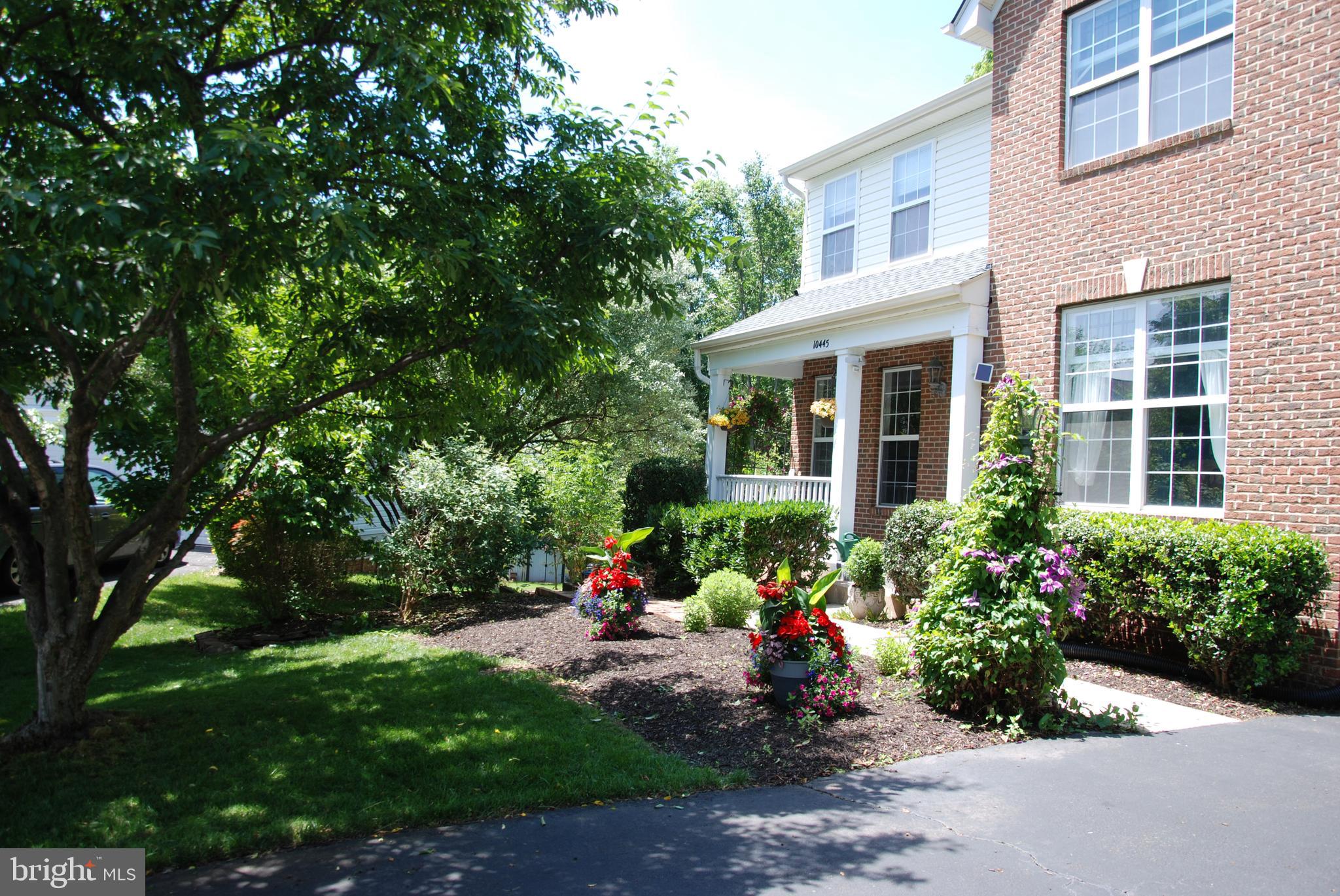 MUSE HILL - Residential