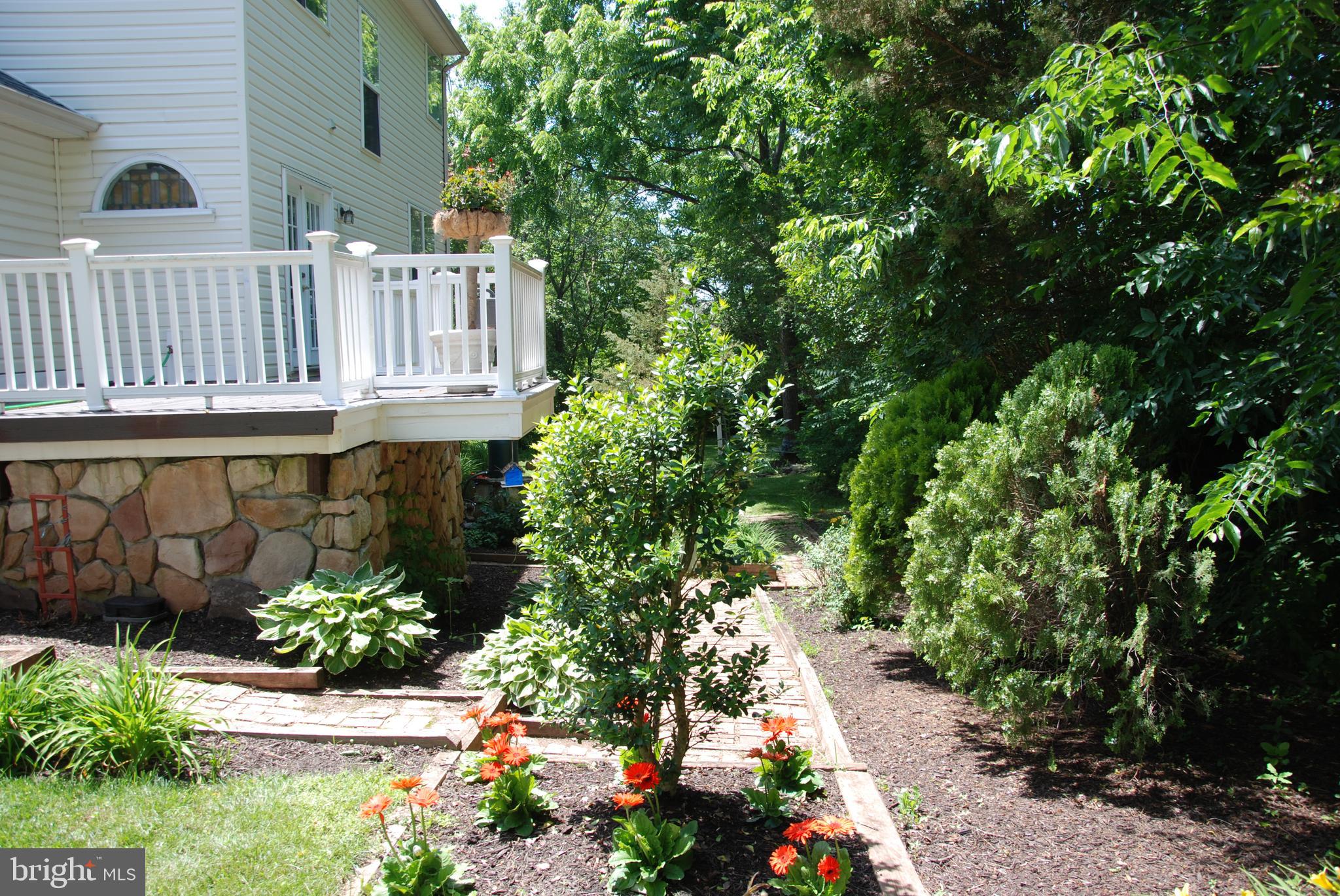 MUSE HILL - Residential